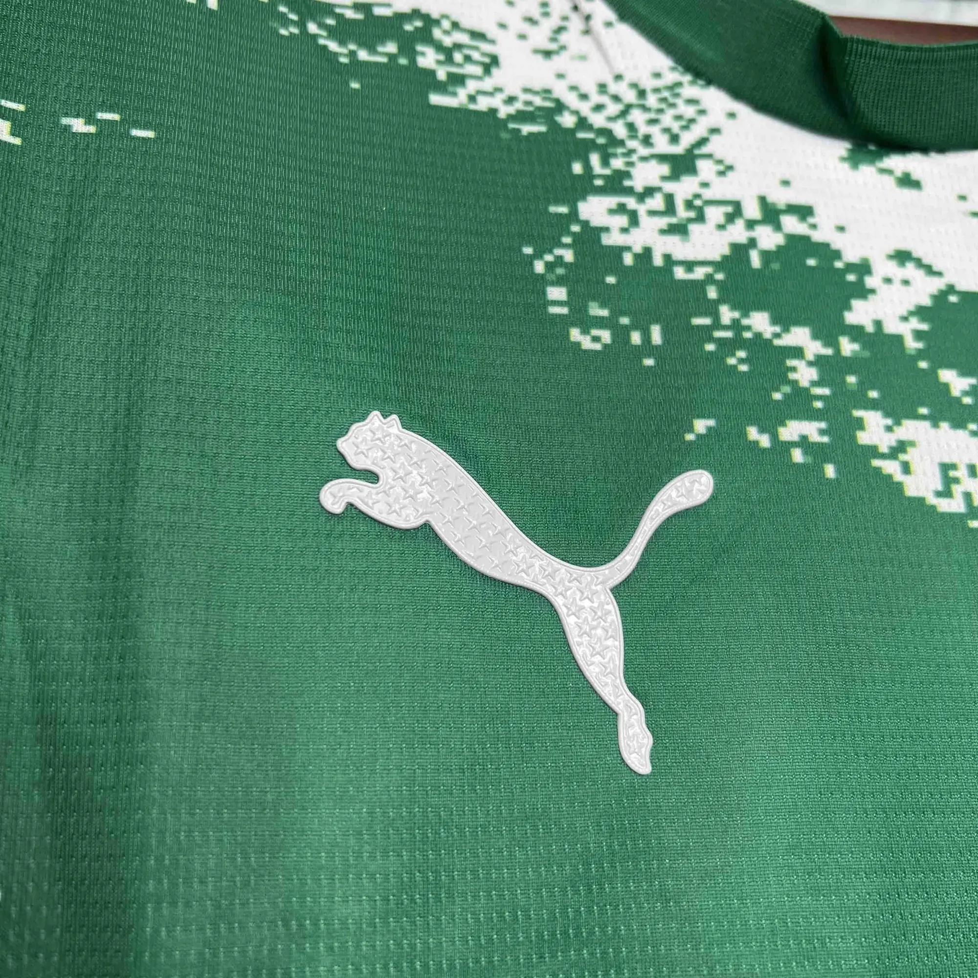 24-25 Palmeiras For a Greener Future Special Edition Kit AAAAJersey Supplier Yupoo 4
