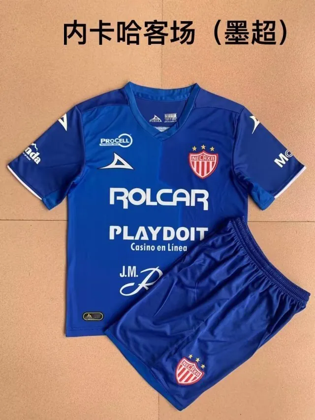 Necaxa 3
