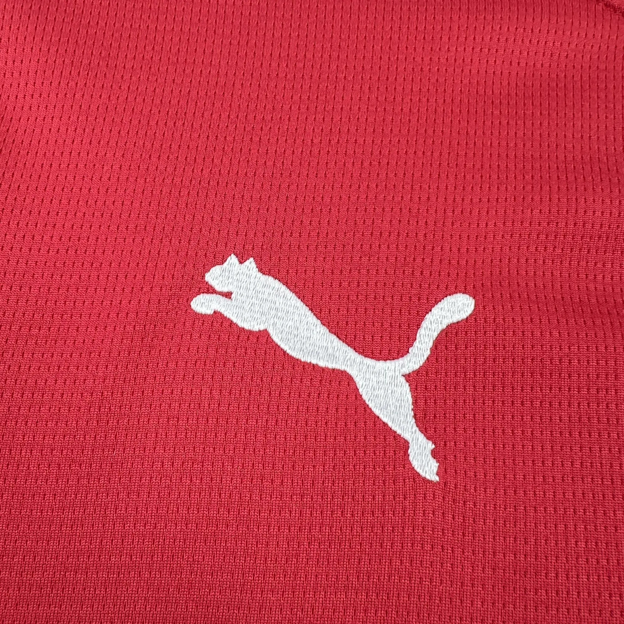 2026 Czech Republic World Cup Home Kit Soccer T-Shirt AAAAJersey Supply Yupoo 1