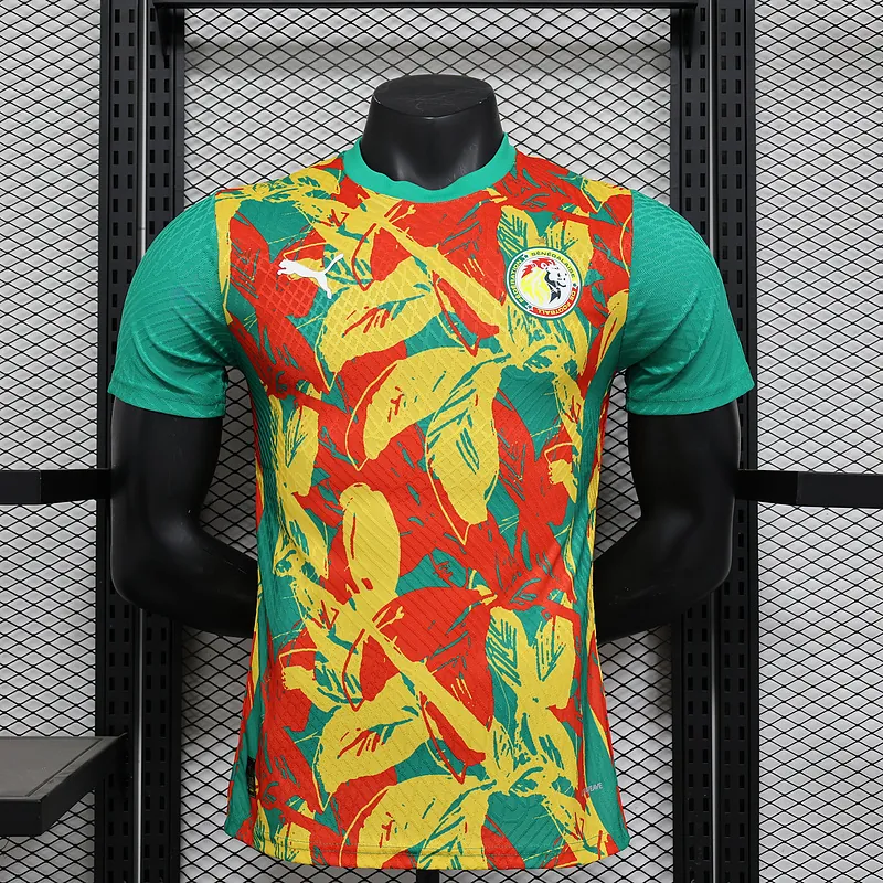 24-25 Ivory Coast Pre-match Kit Player Version Shirt Soccer AAAAJersey Yupoo 10