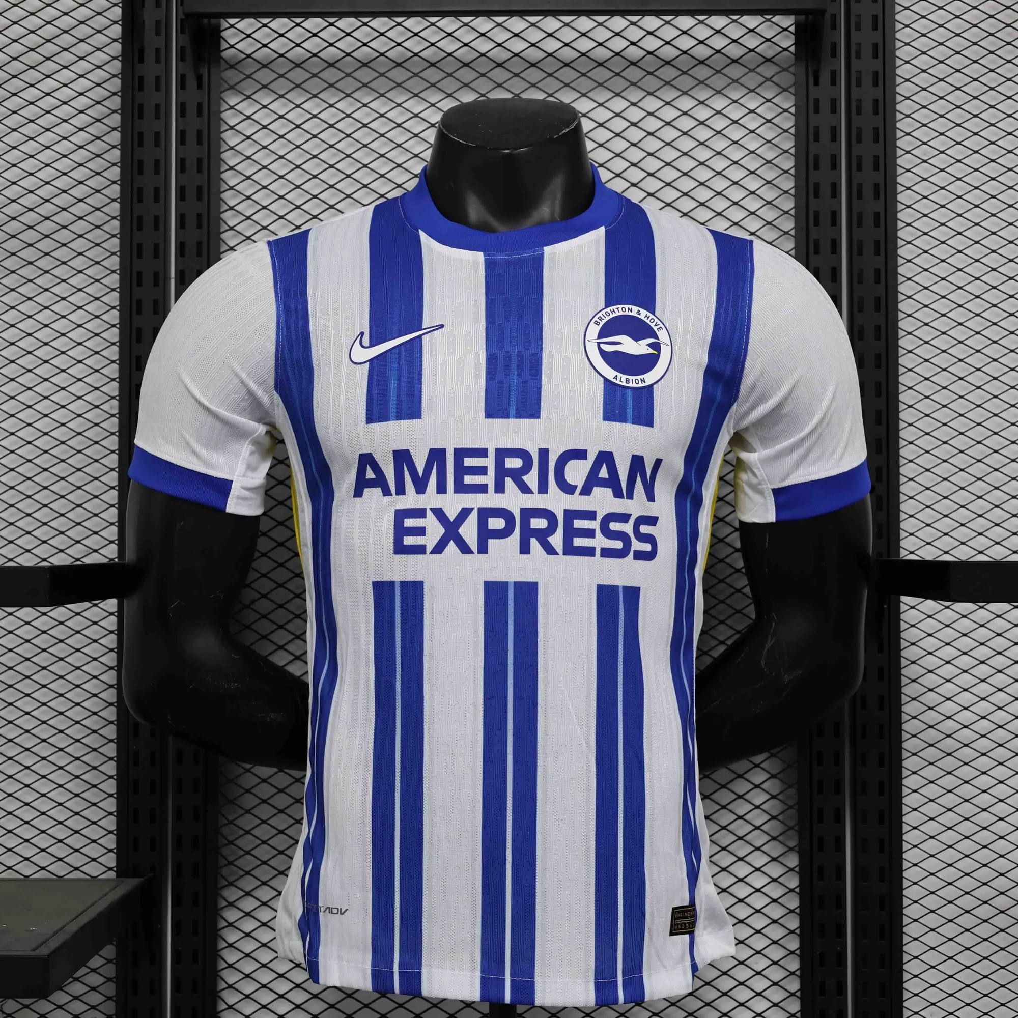 24-25 Brighton Home Kit Player Version Shirt Sport AAAAJersey Yupoo 6