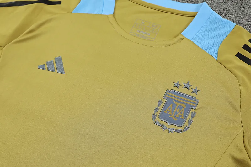 2024 Argentina Training Soccer Jerseys Football Shirts 1