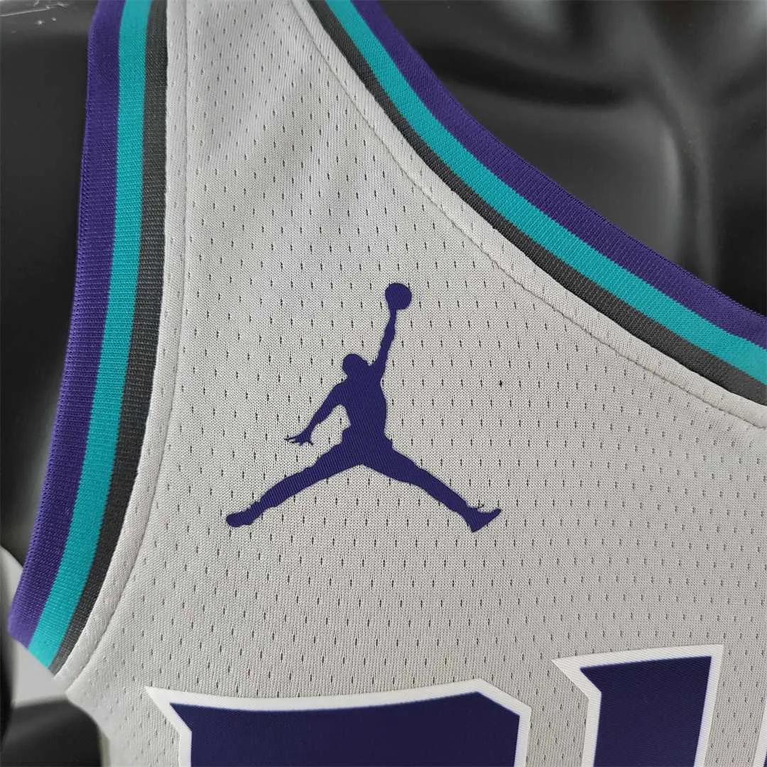 2019 Ball#2 Charlotte Hornets Grey NBA Jersey 6