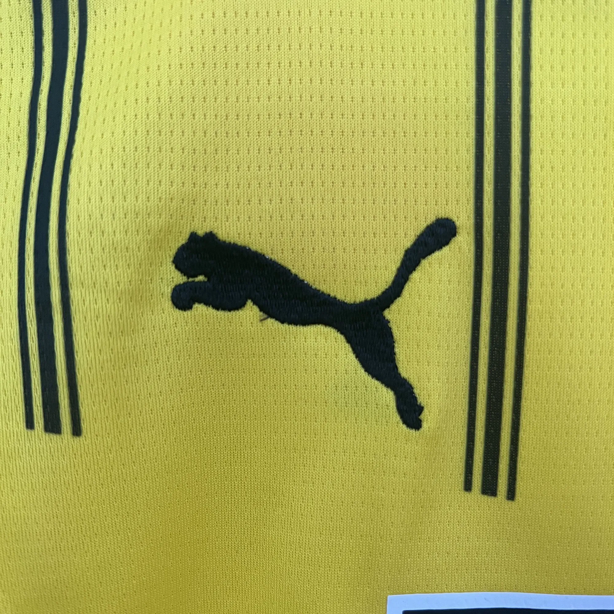 24-25 Dortmund BVB Home Kid Kits Youth Apparels AAAAJersey Supplier Yupoo 8