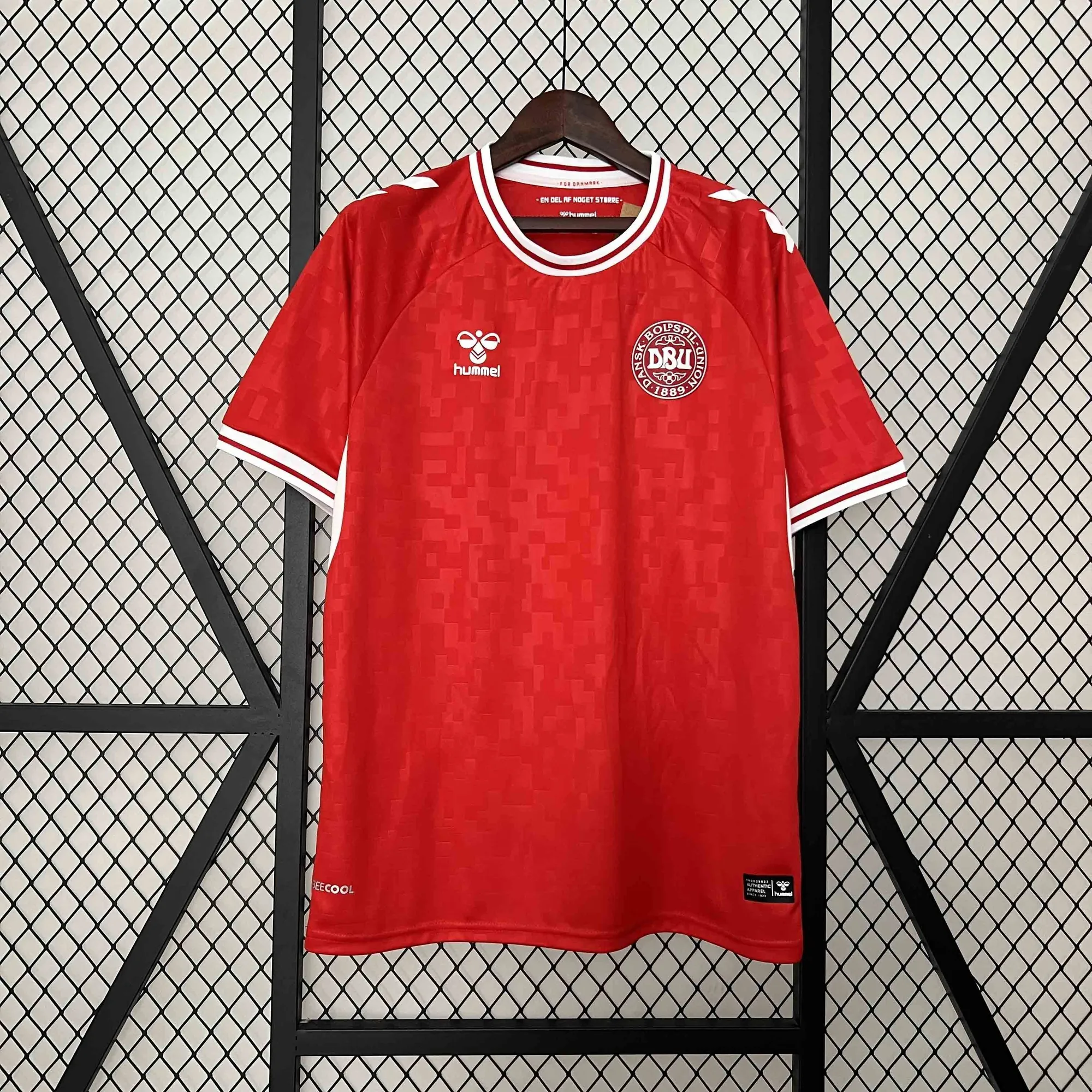 2024 Denmark Home Kit UEFA Euro Shirt Football Replicas Yupoo 8