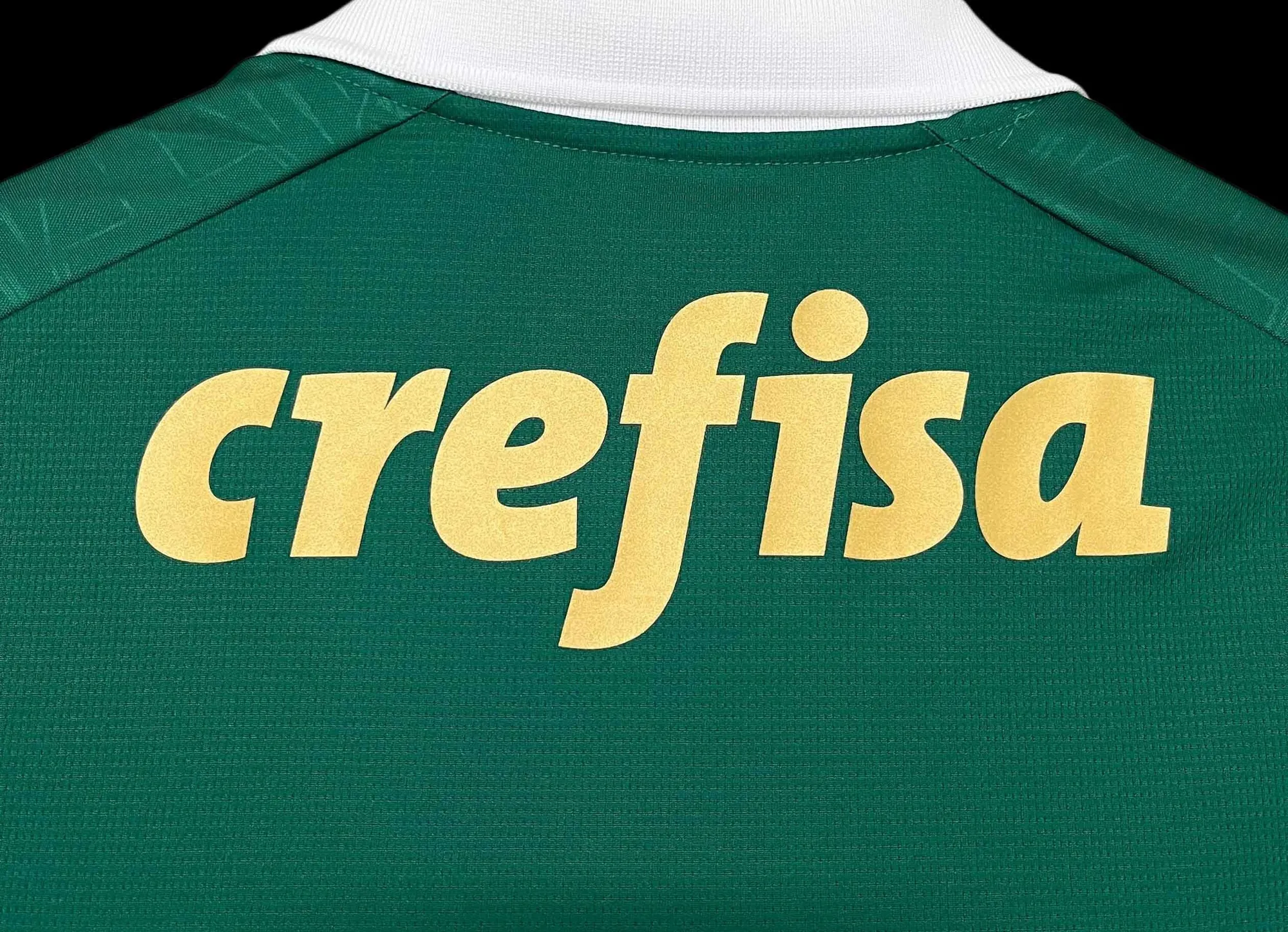 24-25 Palmeiras Home Shirt Best Jerseys Yupoo 11
