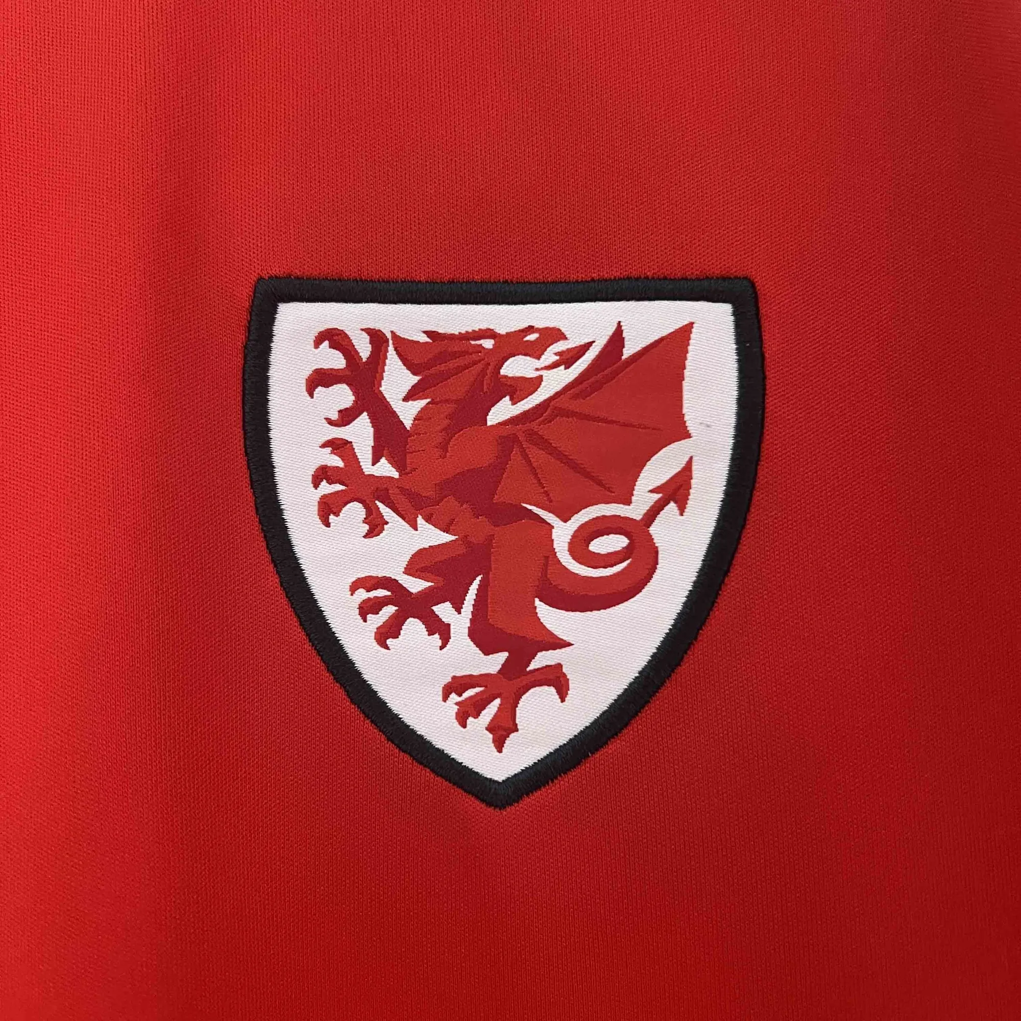 2024 Wales Home Shirt Football AAAAJersey Yupoo 1