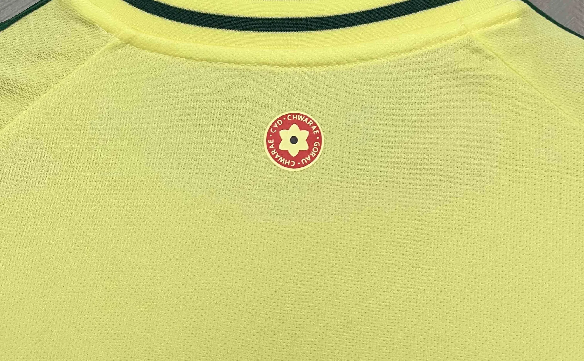 2024 Wales Away Kit Football AAAAJersey Yupoo 5