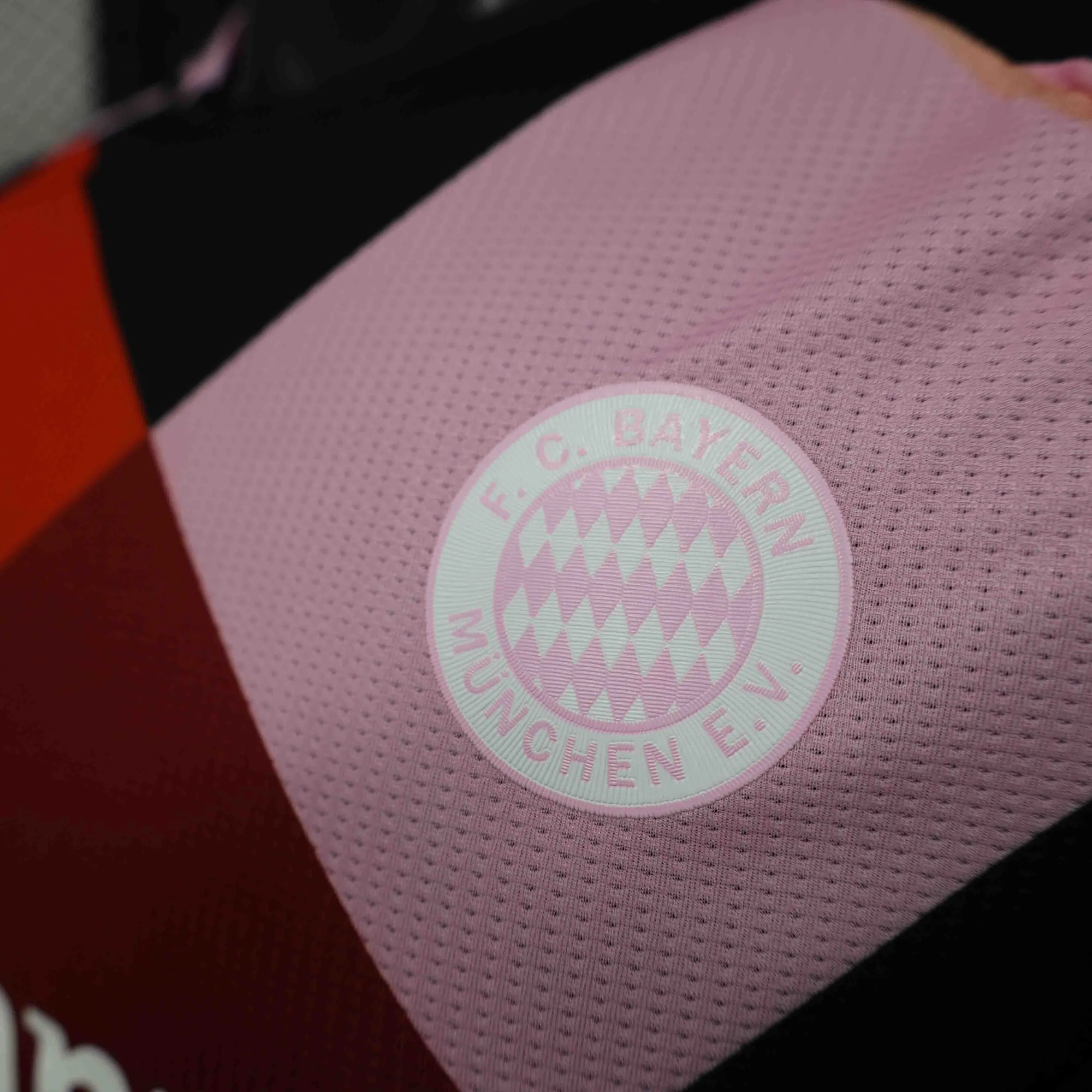 24-25 Bayern Munich X LeGer Special Edition Player Version Shirt AAAAJersey Supplier Yupoo 4