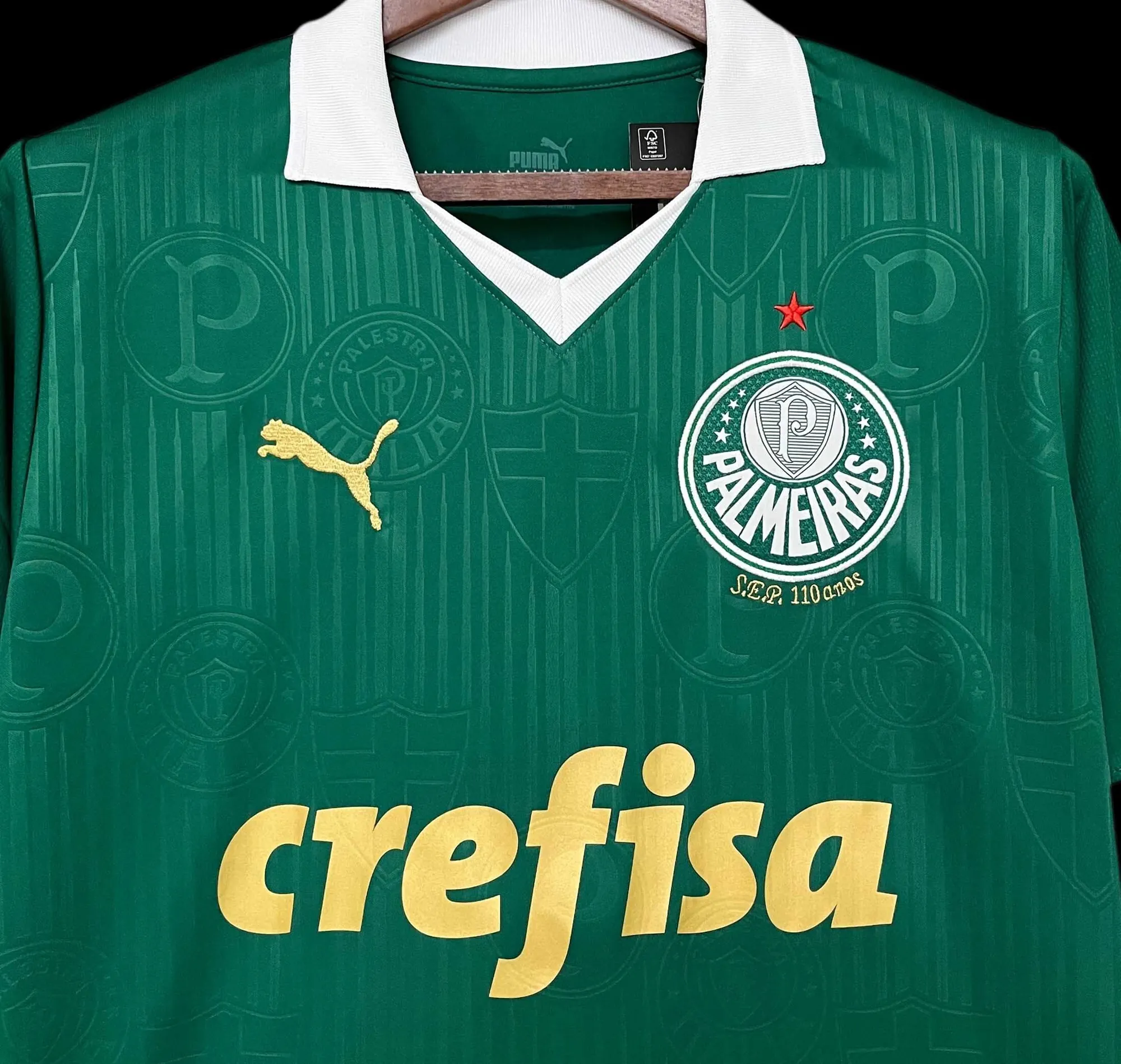 24-25 Palmeiras Home Shirt Best Jerseys Yupoo 10