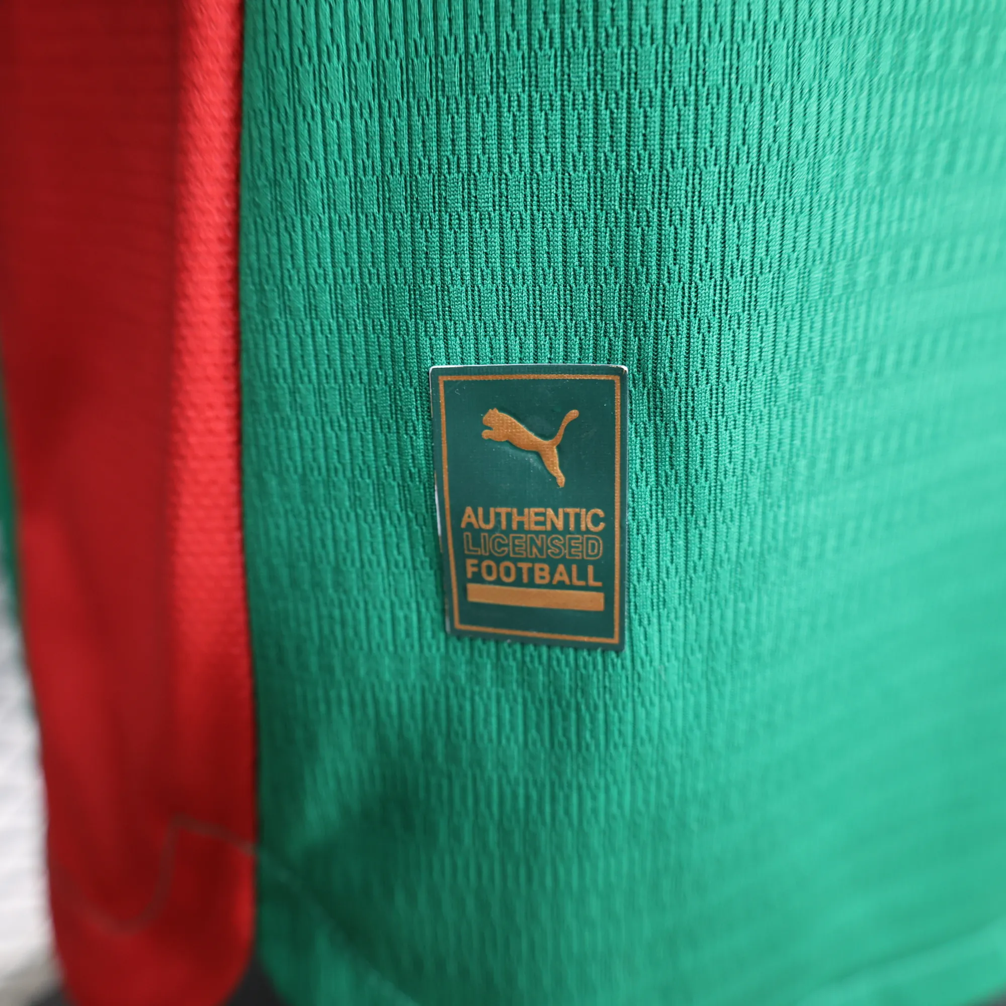 26-27 Palmeiras home jersey player version AAAAJersey Dropship Yupoo 3