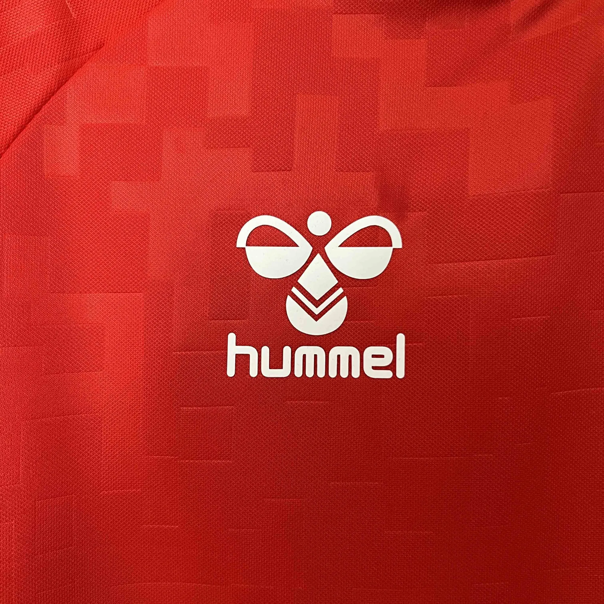 2024 Denmark Home Kit UEFA Euro Shirt Football Replicas Yupoo 4