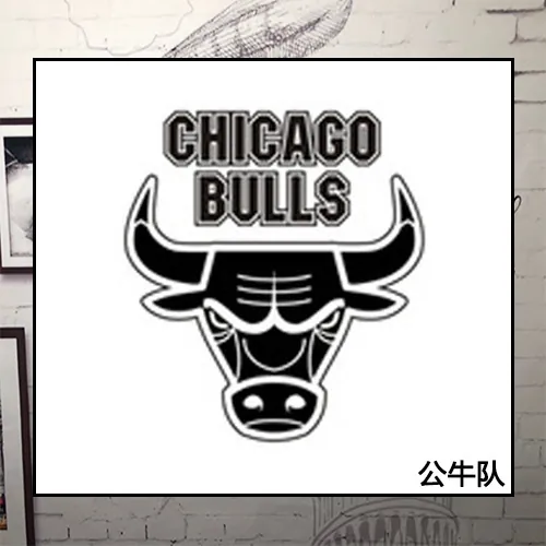 Chicago Bulls 1