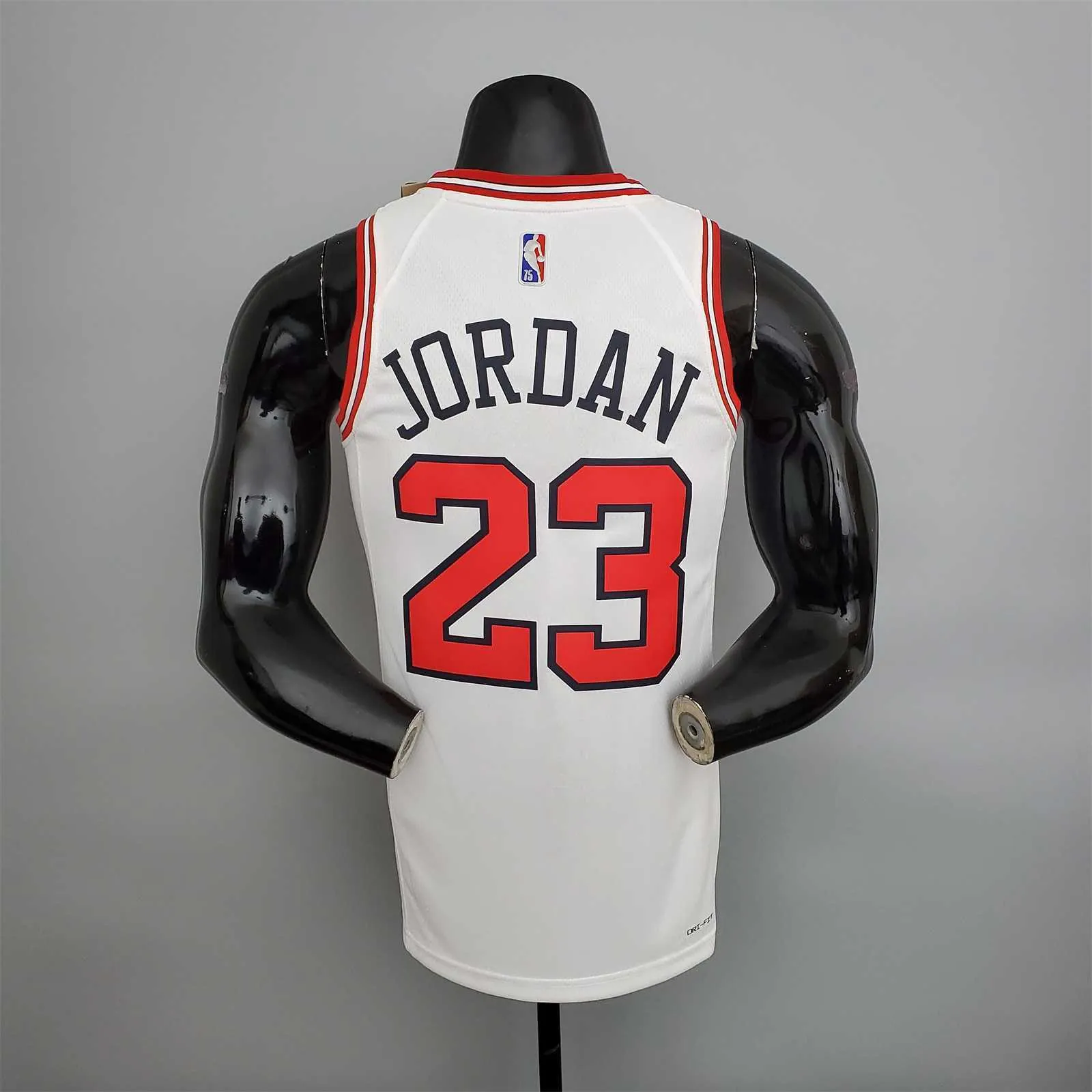 75th Anniversary Jordan #23 Bulls White 6