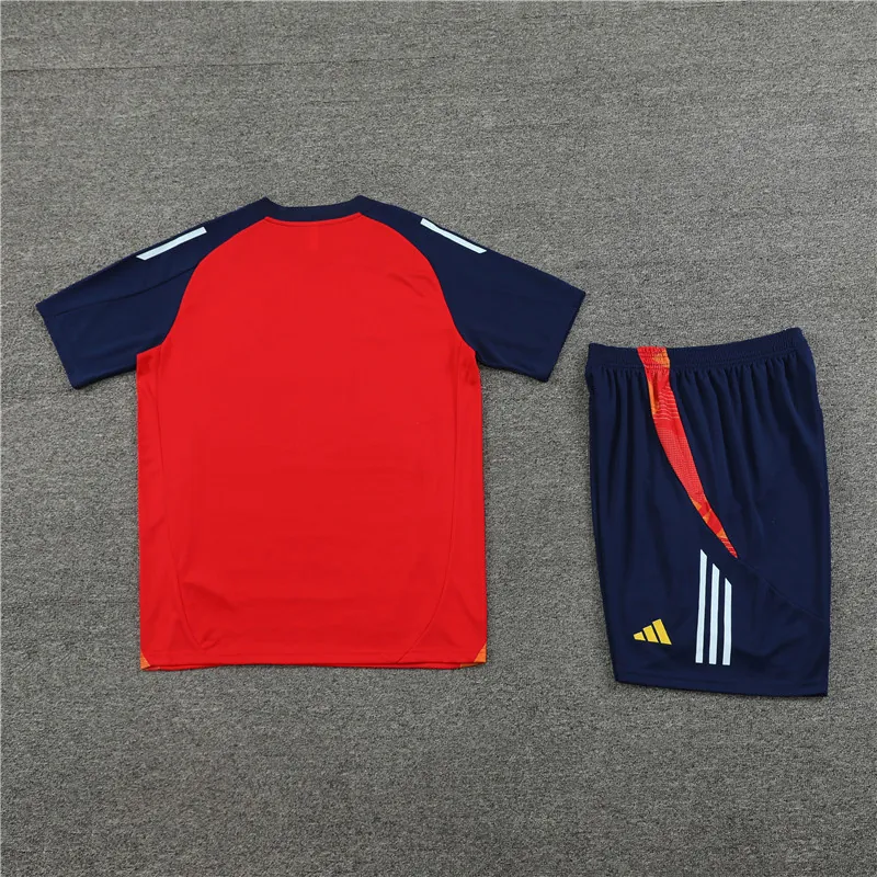 2024 Spain Training Soccer Jerseys Football Shirts 1