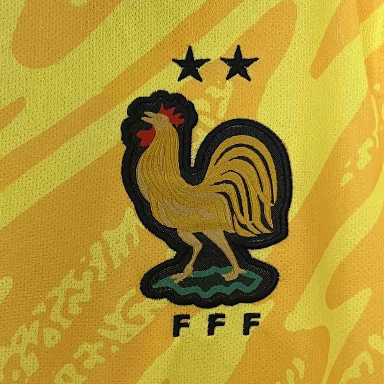2024 France Goalkeeper Yellow Kit UEFA Euro Football Replicas Yupoo 4