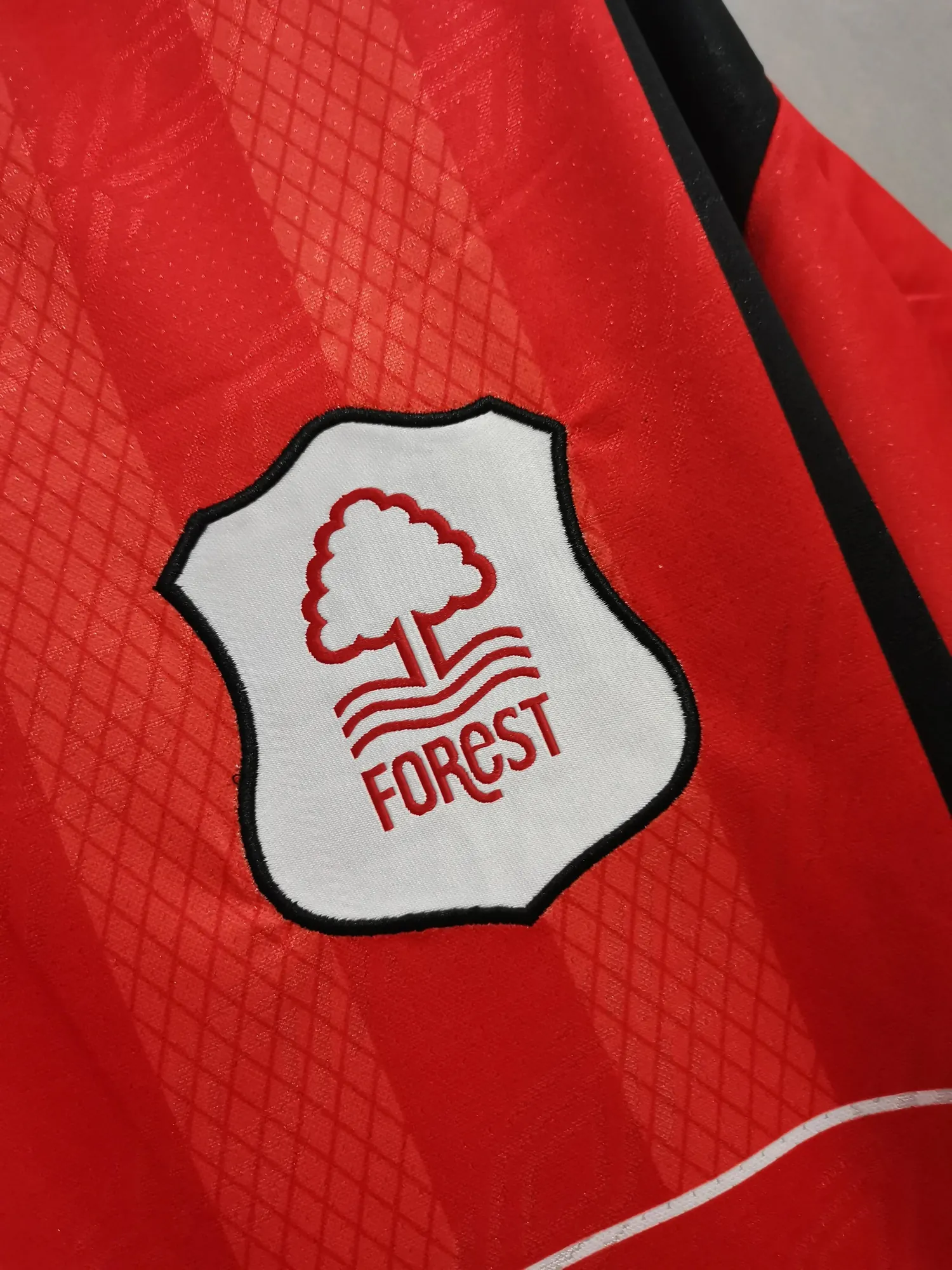 94-95 Nottingham Forest home 2