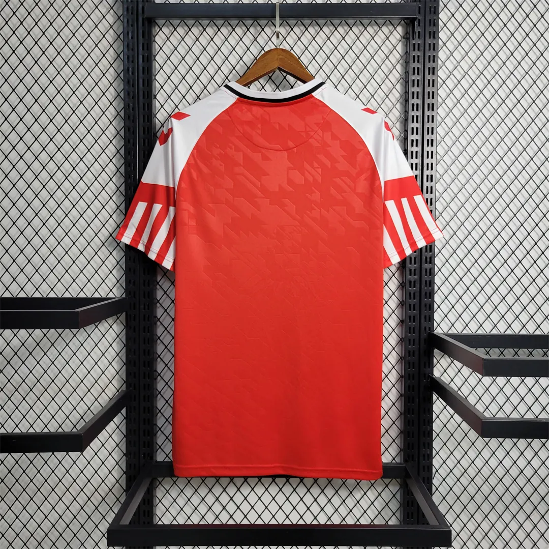 2023 Denmark home 4