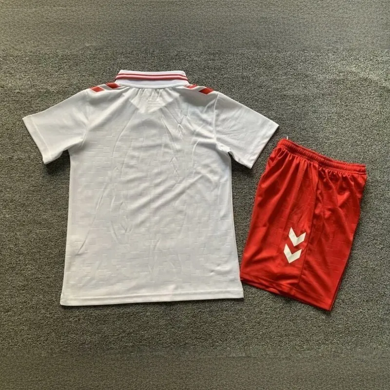 2024 Denmark Away Kid Kits Children Sets Football AAAAJersey Yupoo 1