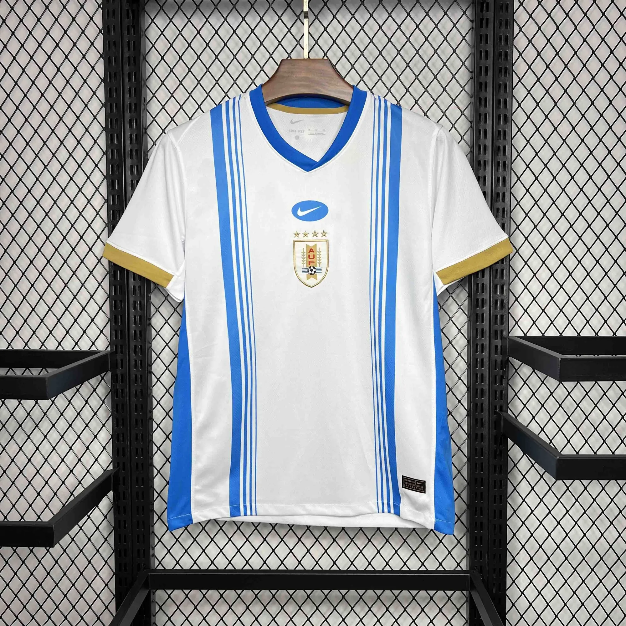 2024 Uruguay Pre-match Training Kit Sport AAAAJersey Yupoo 6