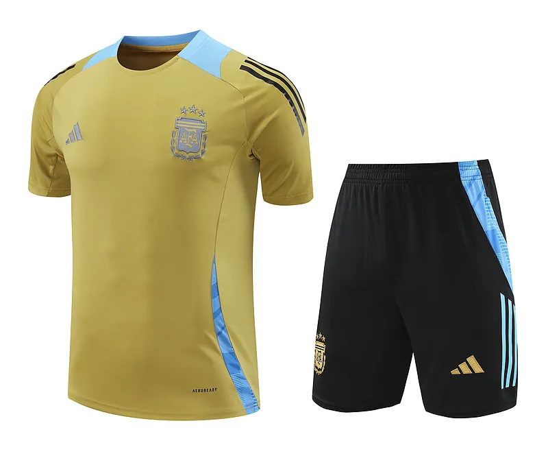 2024 Argentina Training Soccer Jerseys Football Shirts 4