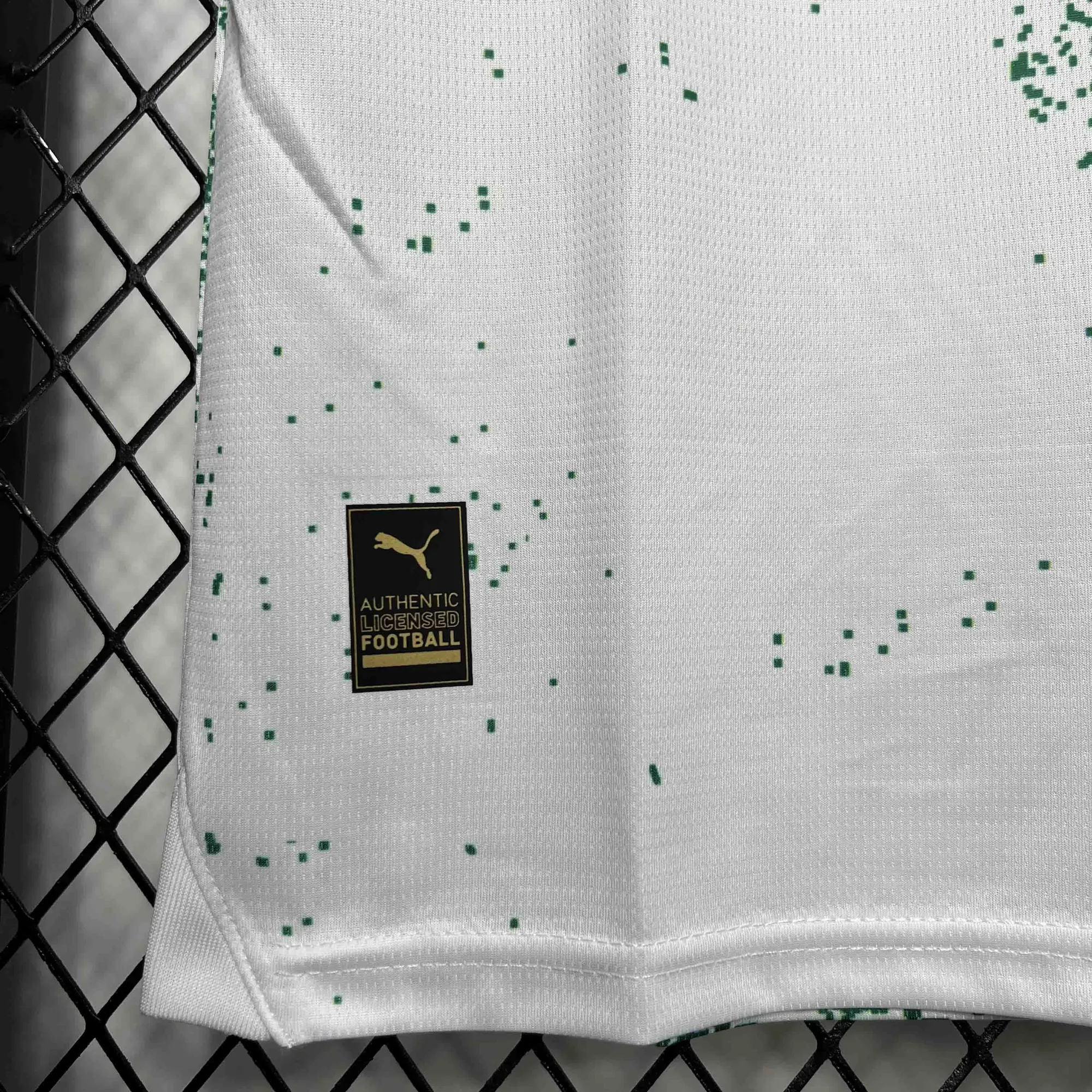 24-25 Palmeiras For a Greener Future Special Edition 2 Kit AAAAJersey Supplier Yupoo 6