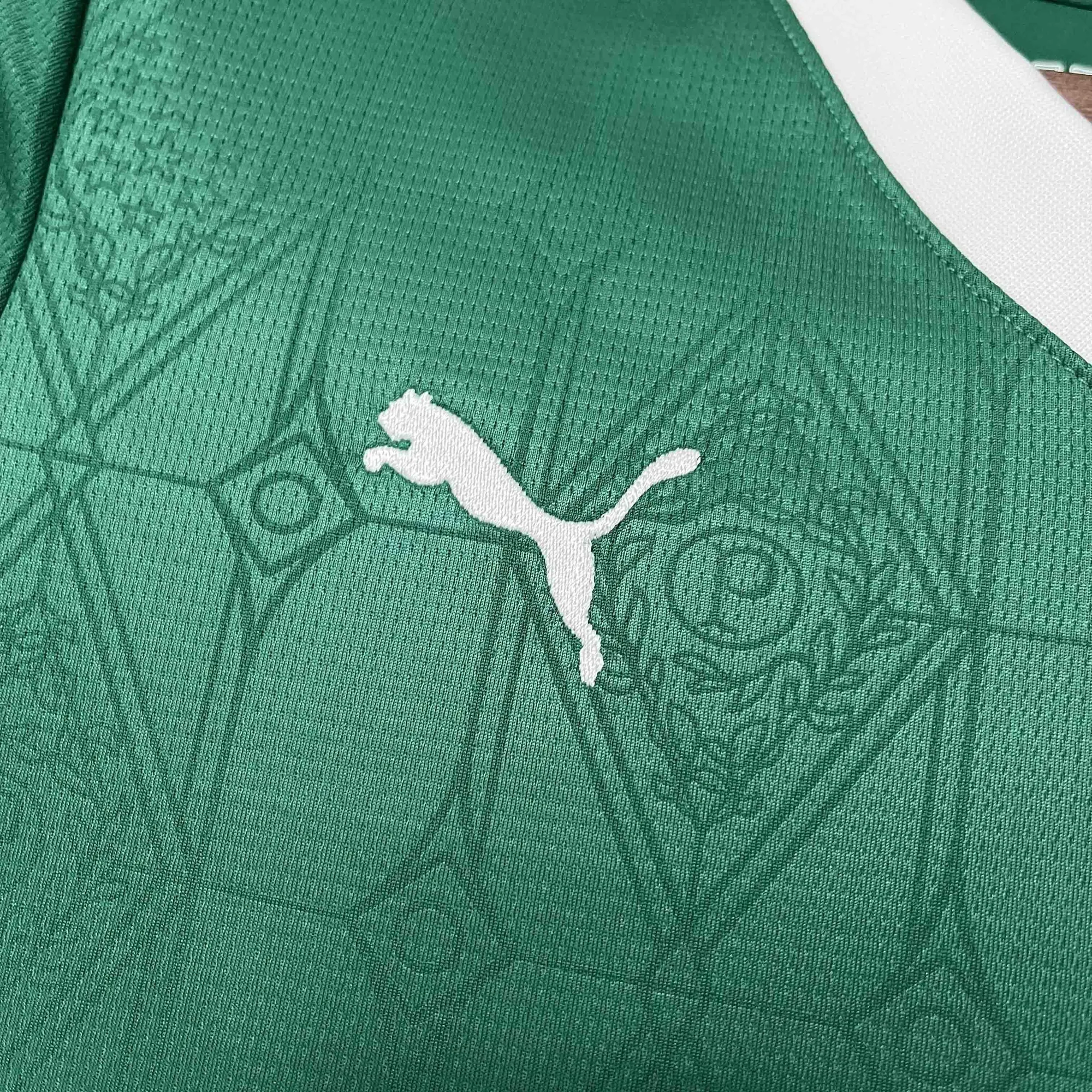 25-26 Palmeiras Home Women Shirt Lady Uniform AAAAJersey Dropship Yupoo 4