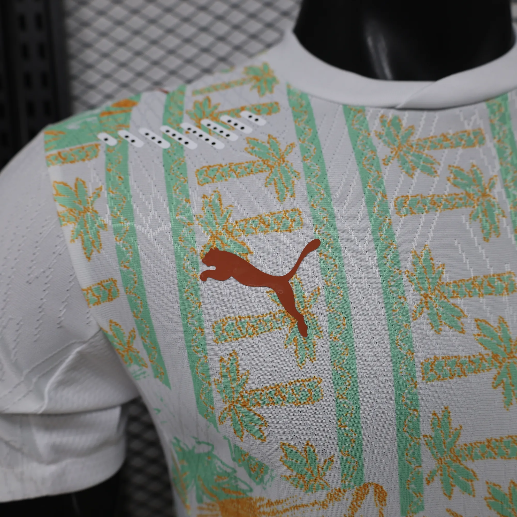 World Cup 2026 Cote d'Ivoire Away Kit Player Version Football T-Shirt AAAAJersey Supply Yupoo 10 10