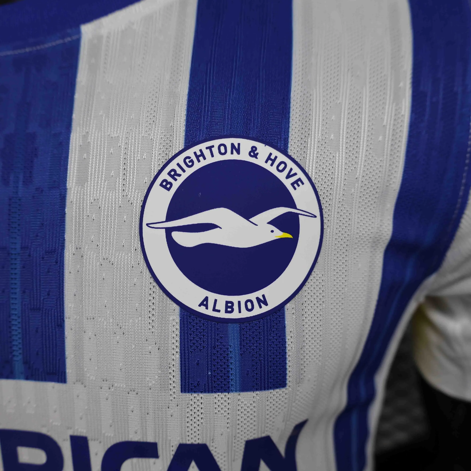 24-25 Brighton Home Kit Player Version Shirt Sport AAAAJersey Yupoo 4