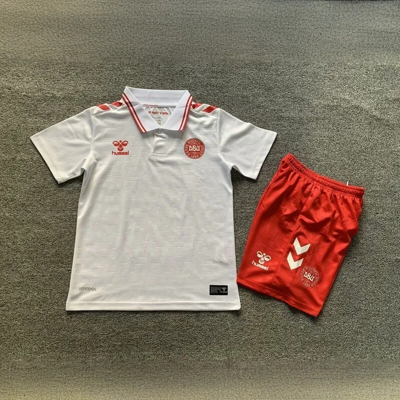 2024 Denmark Away Kid Kits Children Sets Football AAAAJersey Yupoo 2