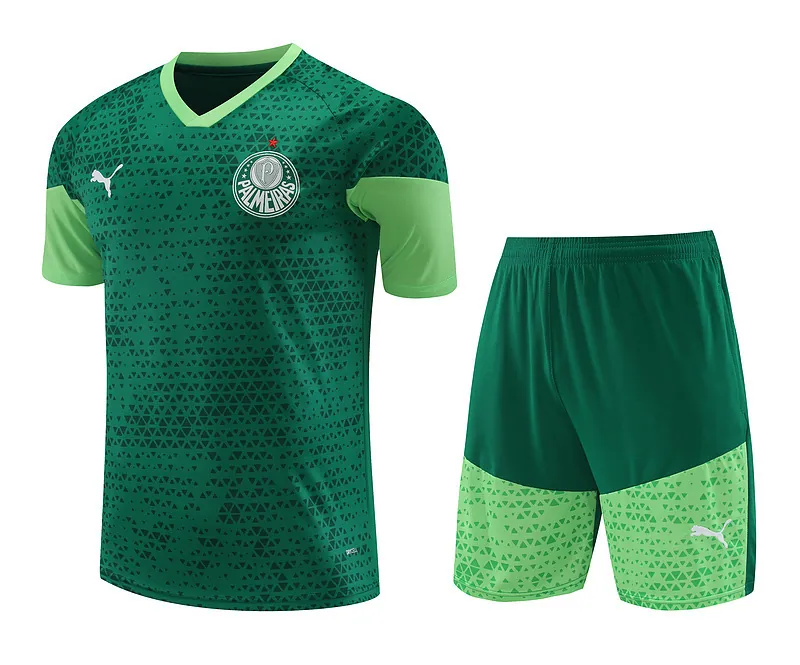 24-25 Palmeiras Training Soccer Jerseys Football Shirts 3