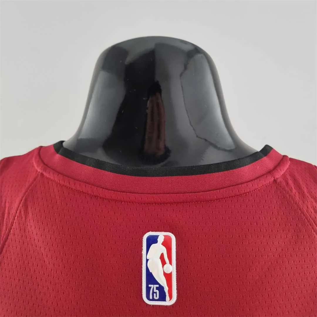 75th Anniversary Miami Heat Jordan JAMES #6 Burgundy NBA Jersey 6