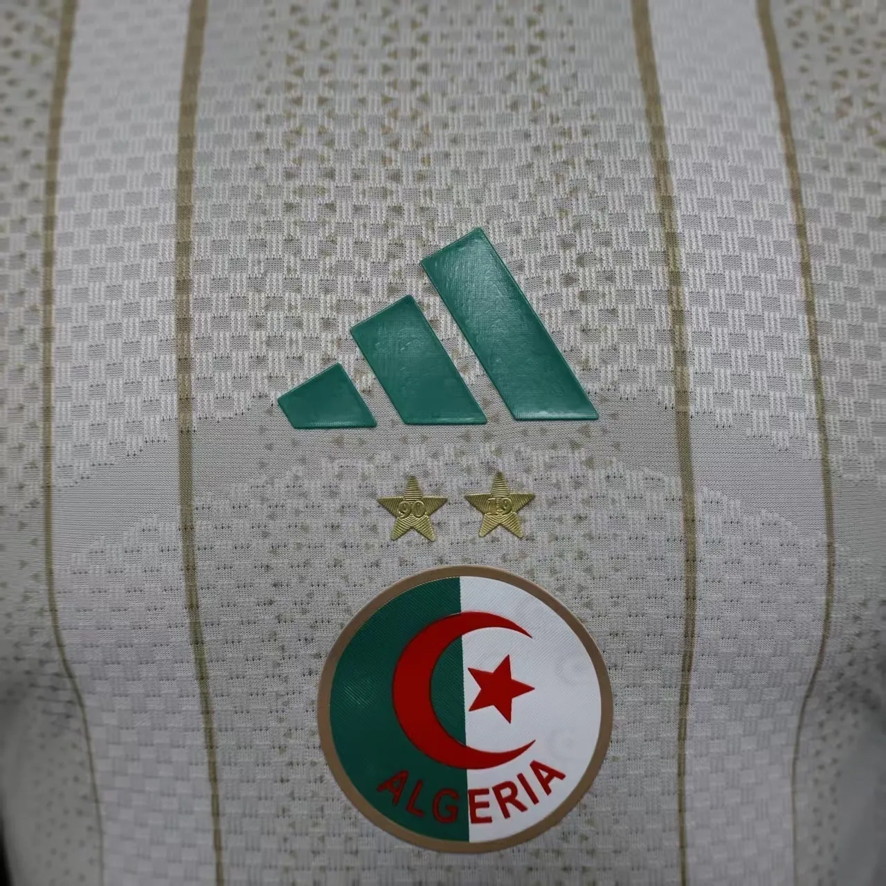 2026 World Cup Algeria Home Kit Football player version T-Shirt AAAAJersey Supply Yupoo 5