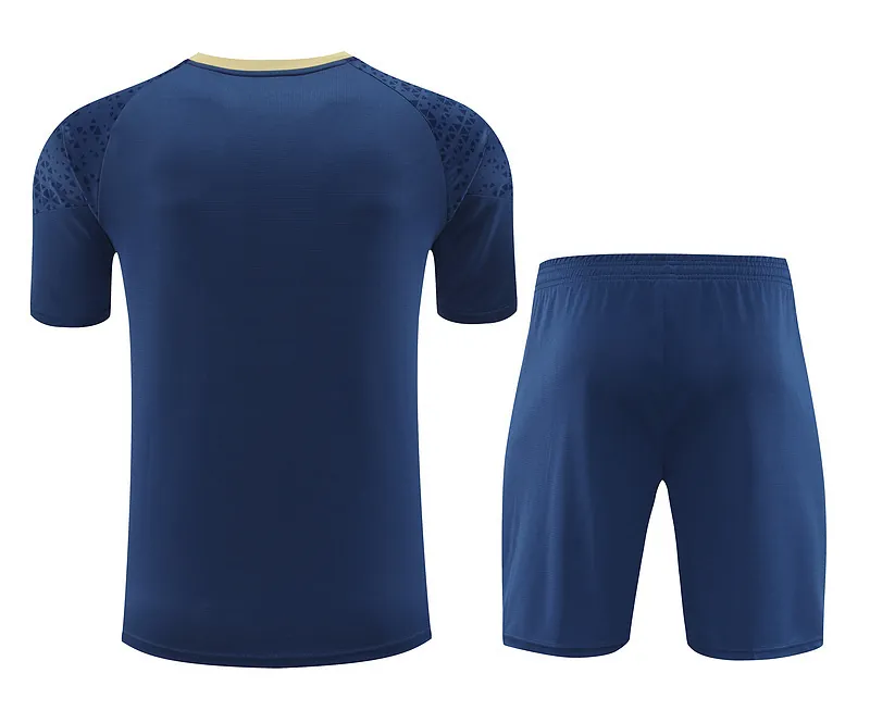 24-25 Palmeiras Training Soccer Jerseys Football Shirts 2