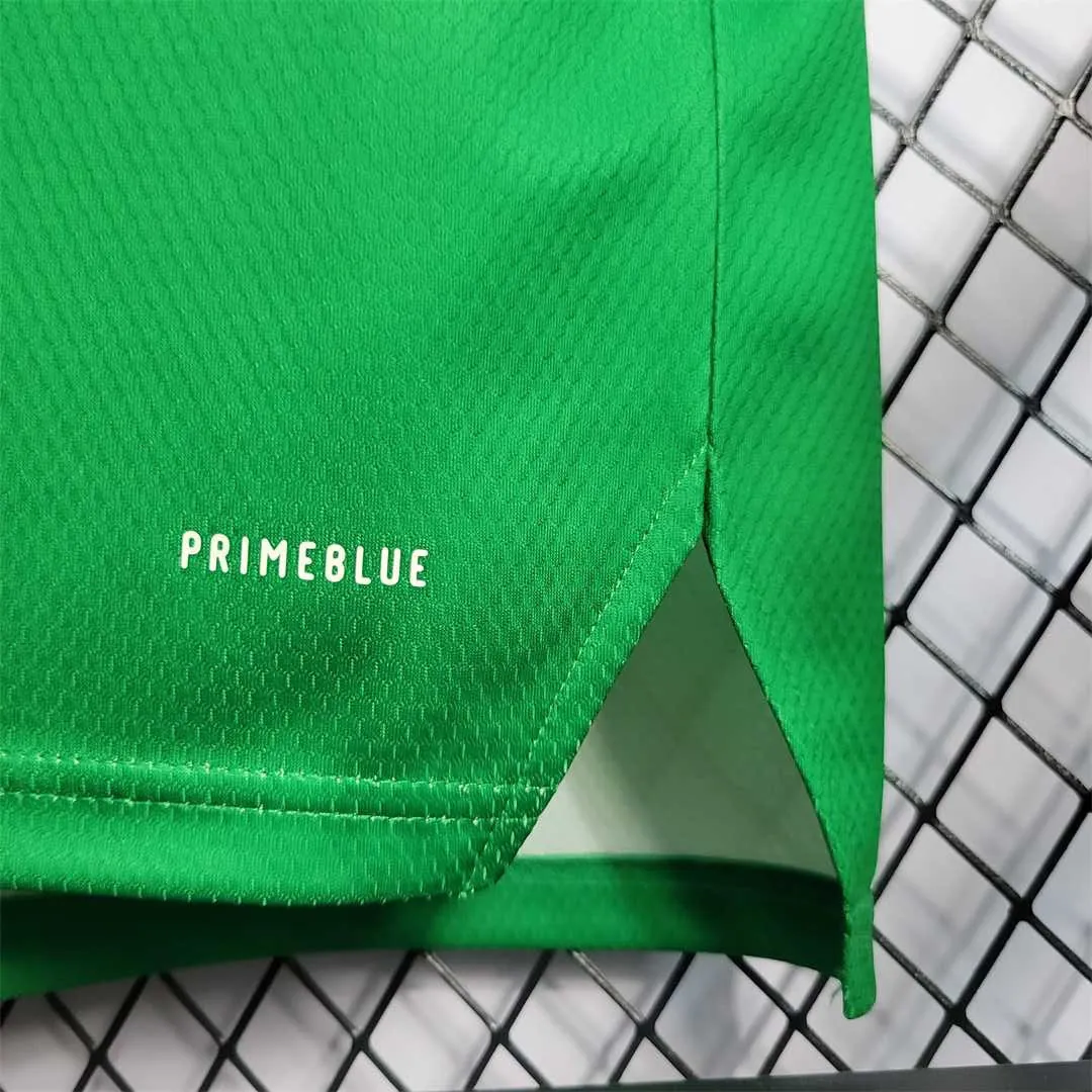 2022 Northern Ireland home 8