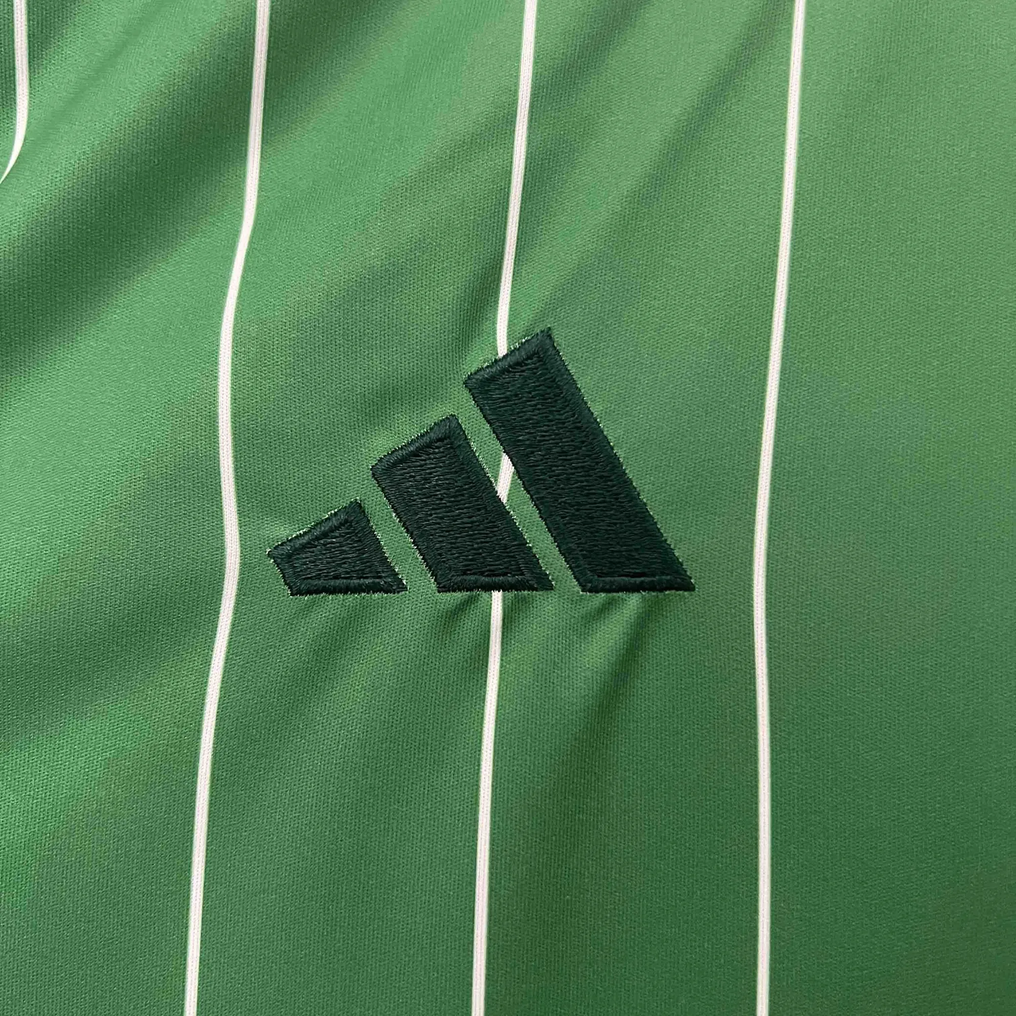 24-25 Celtic Special Edition Kit Jerseys Supllier Yupoo 5