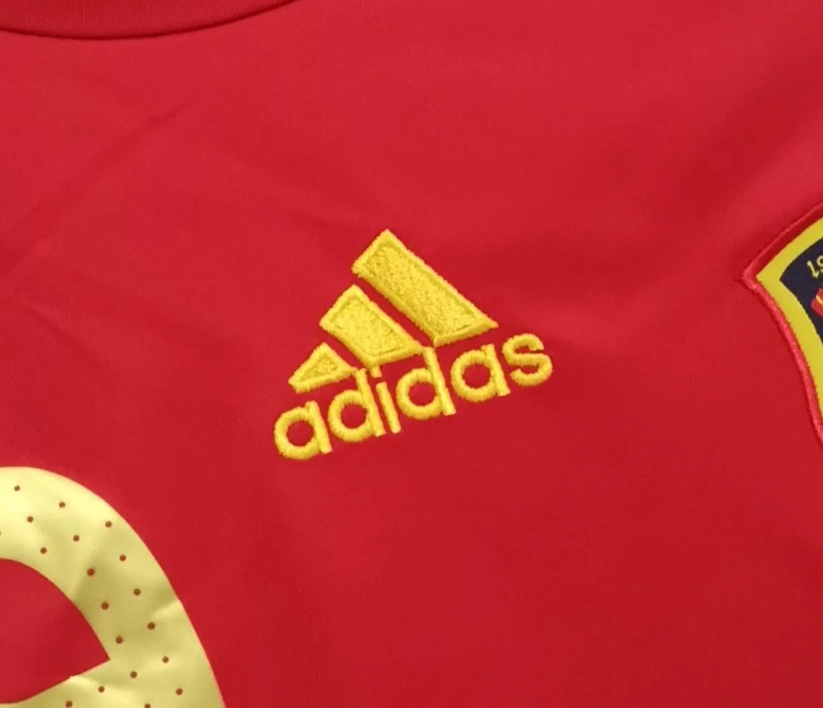 2008 Spain home 6