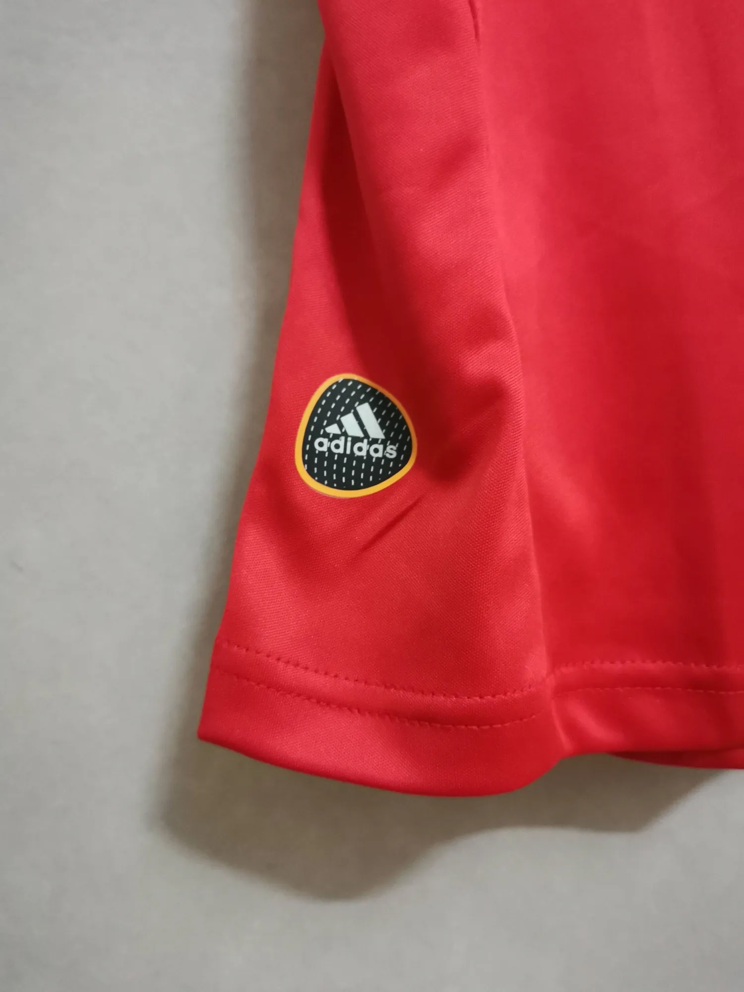 2010 Spain home 3