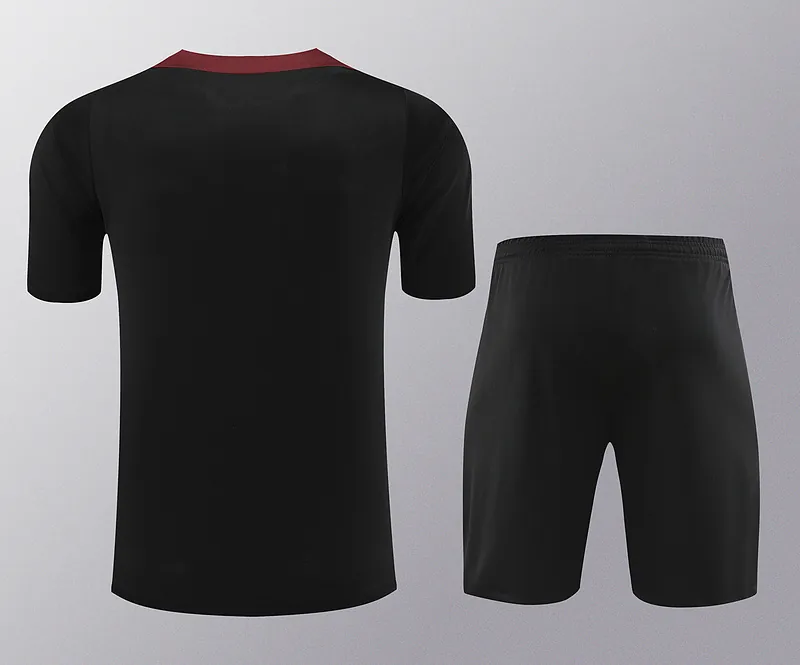 24-25 PSG Training Soccer Jerseys Football Shirts 2