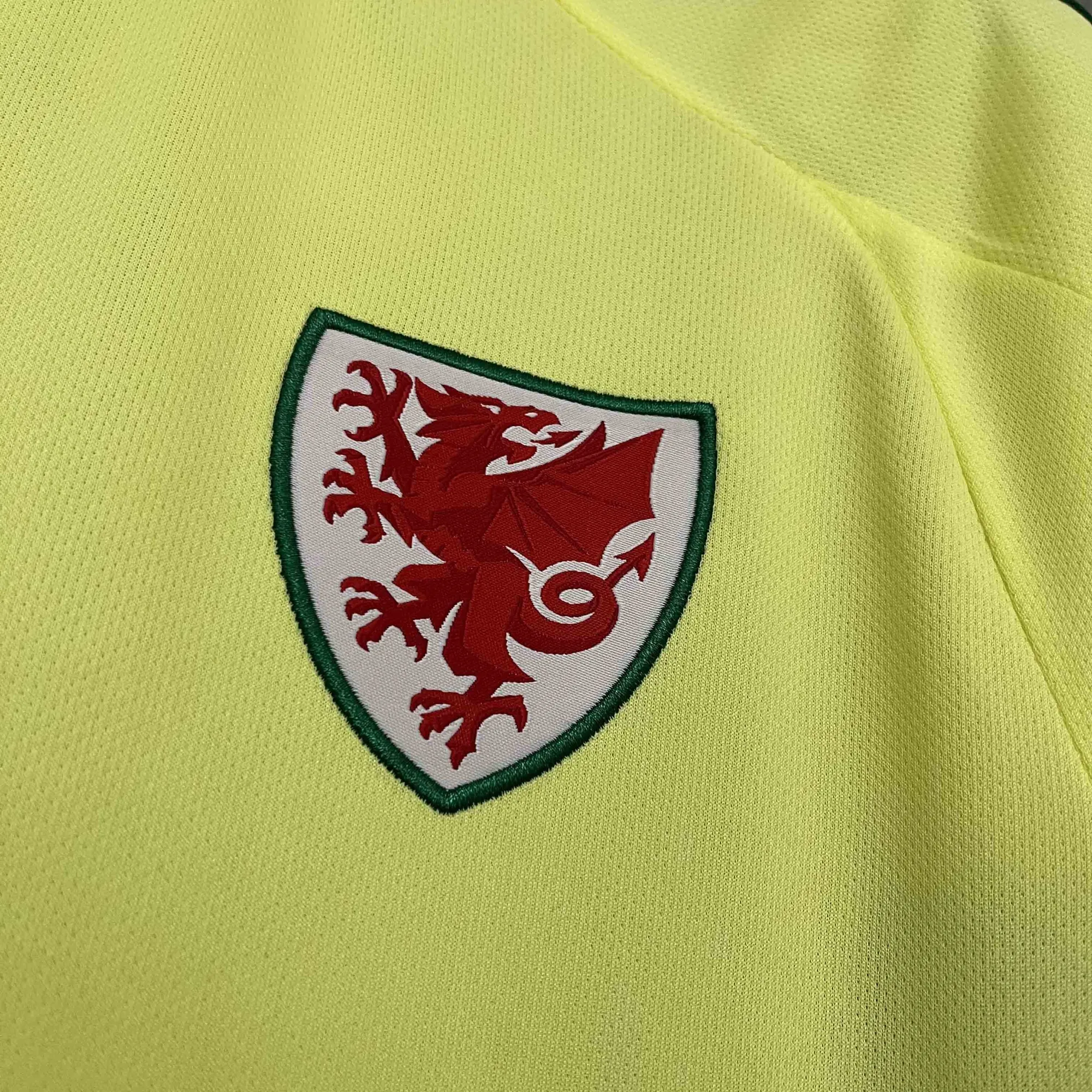 2024 Wales Away Kit Football AAAAJersey Yupoo 2