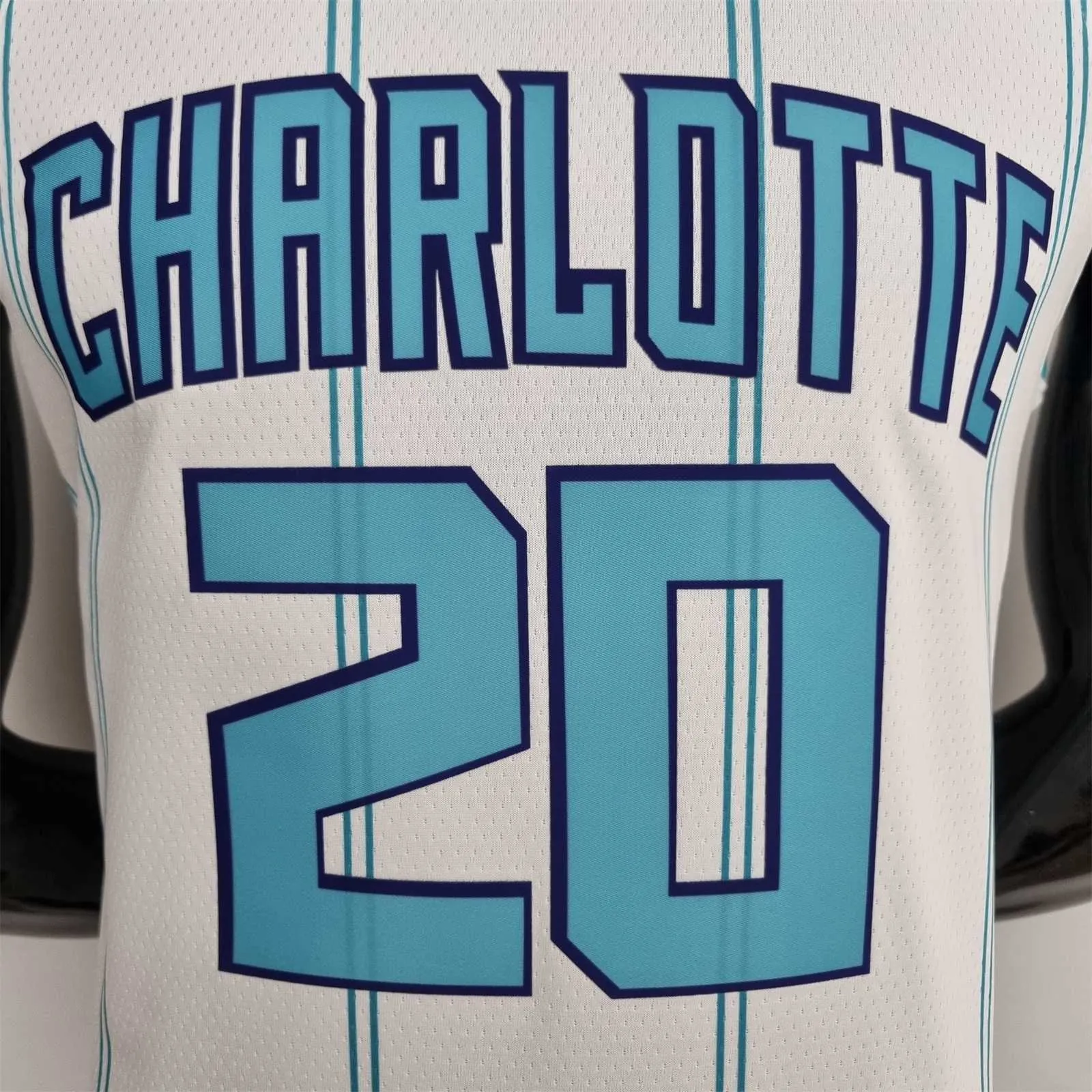 75th Anniversary Hayward #20 Charlotte Hornets White NBA Jersey 5