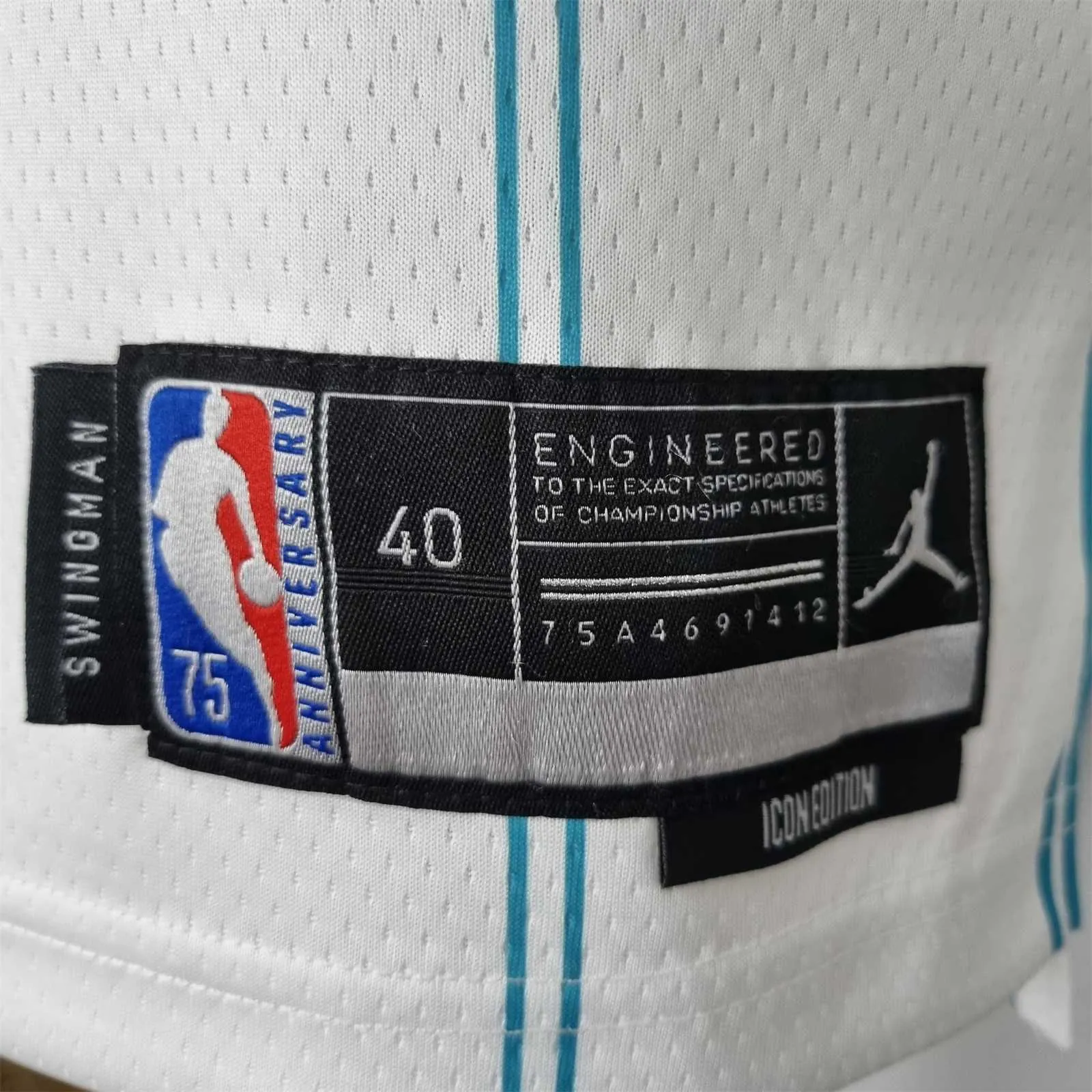 75th Anniversary Hayward #20 Charlotte Hornets White NBA Jersey 6