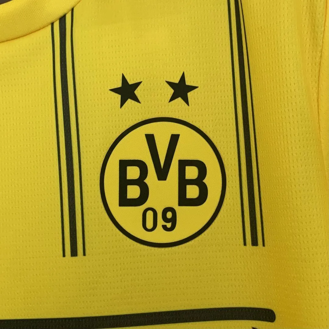 25-26 Borussia Dortmund x One Piece Special Edition Kit Football T-Shirt AAAAJersey Wholesale Y 5