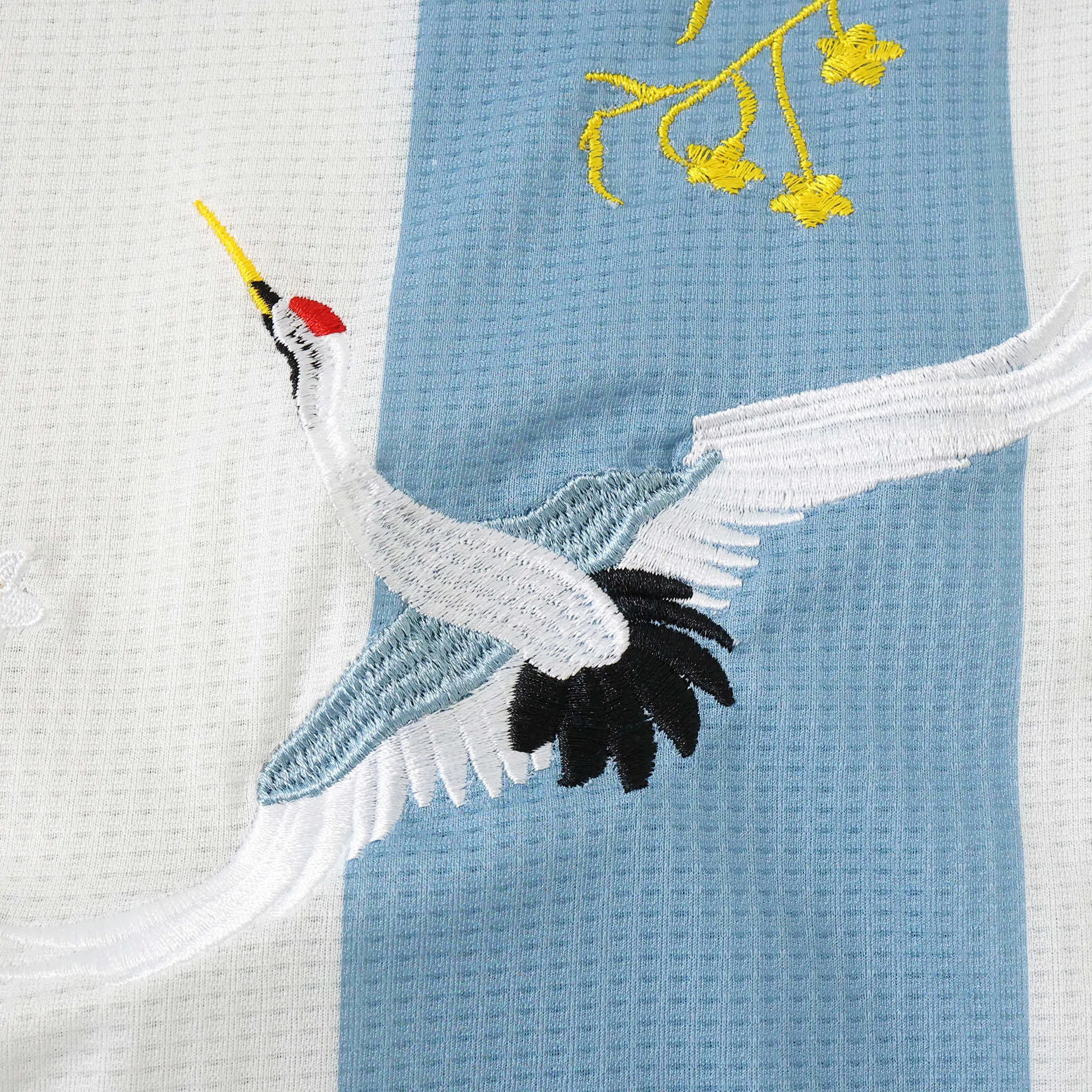 2025 50th Anniversary of Argentina Embroidered Player version Soccer Shirt AAAAJerseys Supply Yupoo 1