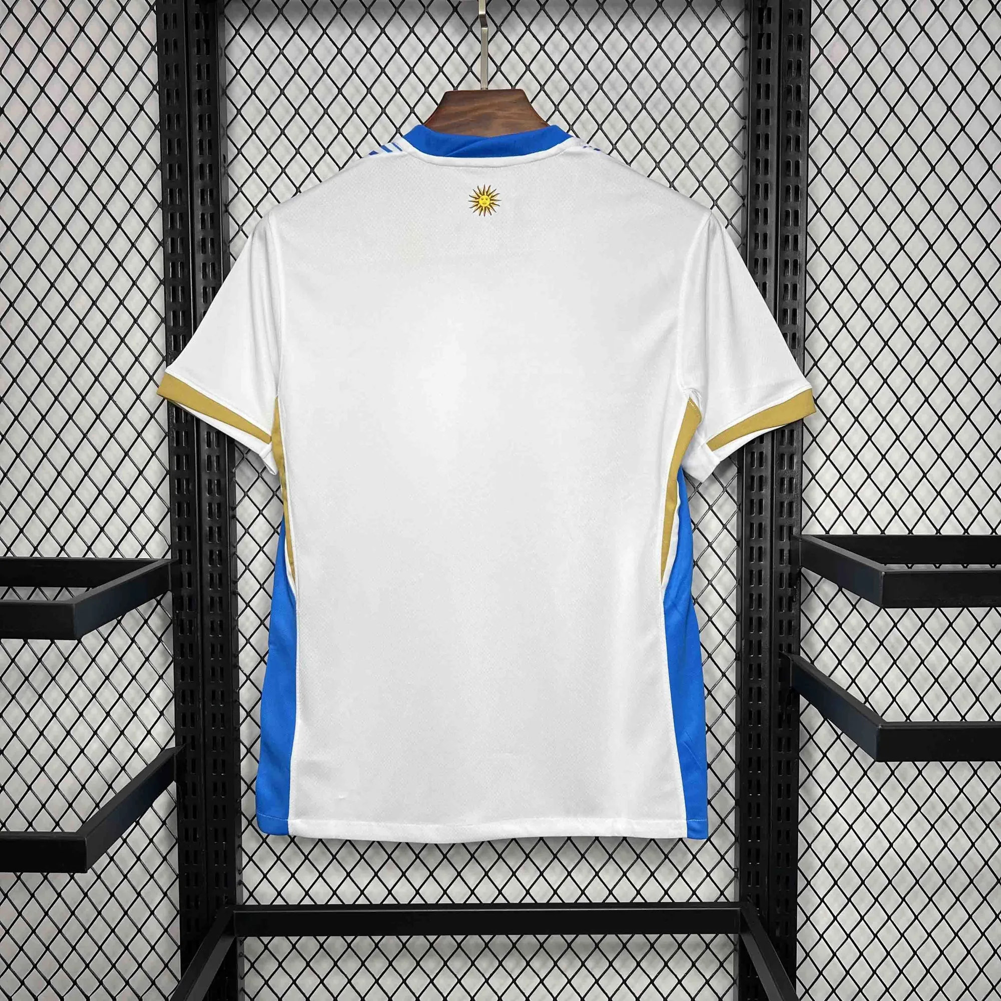 2024 Uruguay Pre-match Training Kit Sport AAAAJersey Yupoo 3