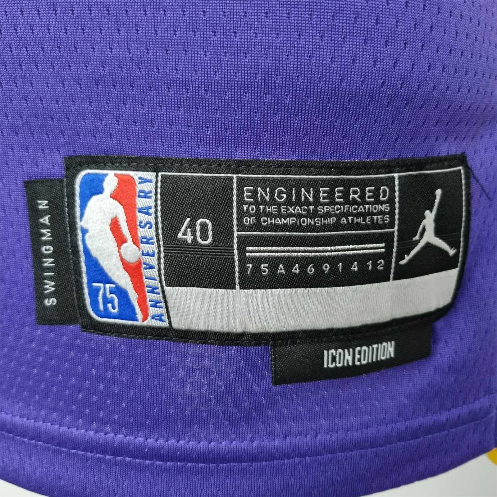 75th Anniversary James #6 Los Angeles Lakers Jordan Purple NBA Jersey 4