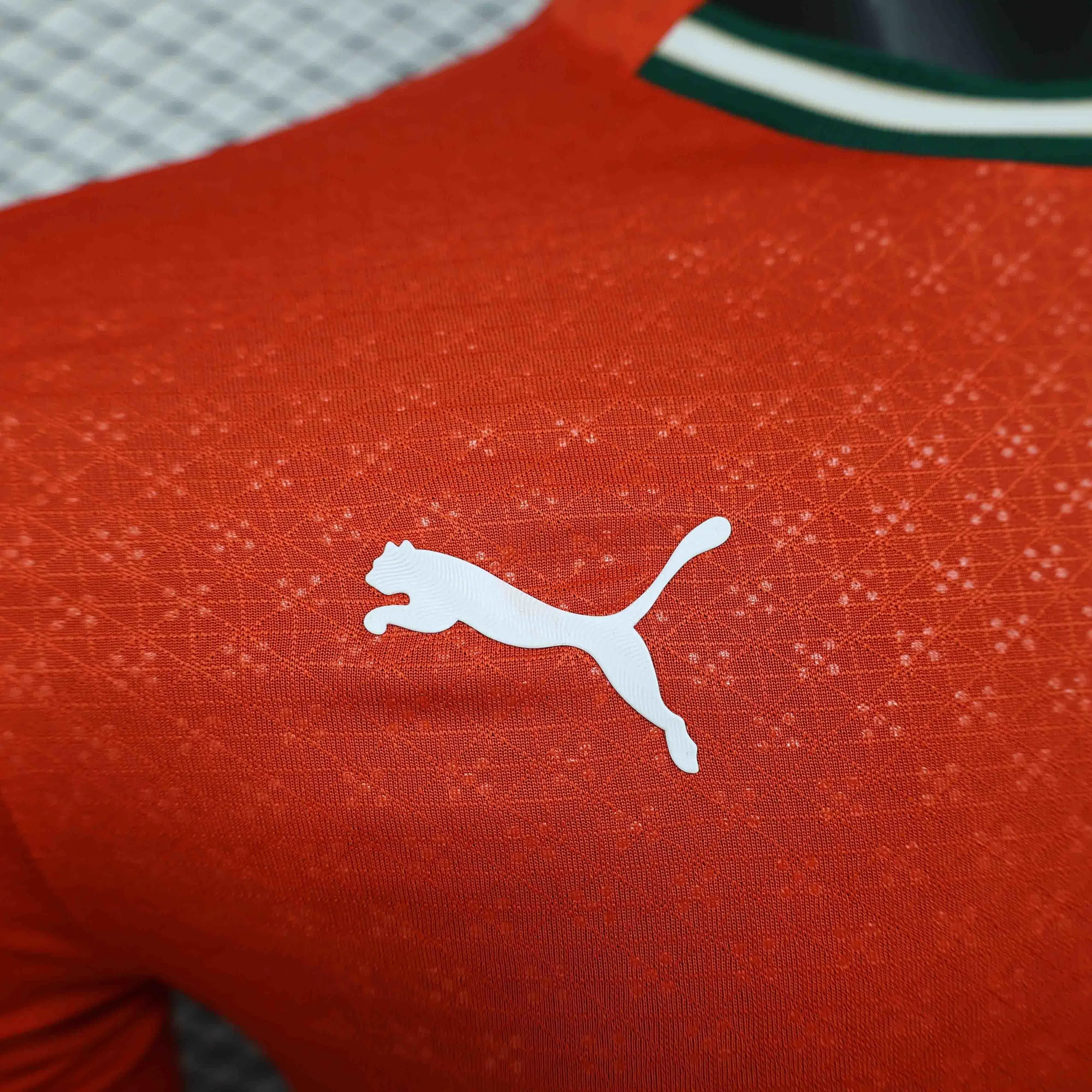 2025 Portugal Home Long Sleeve Kit Player Version Shirt AAAAJersey Supplier Yupoo 2