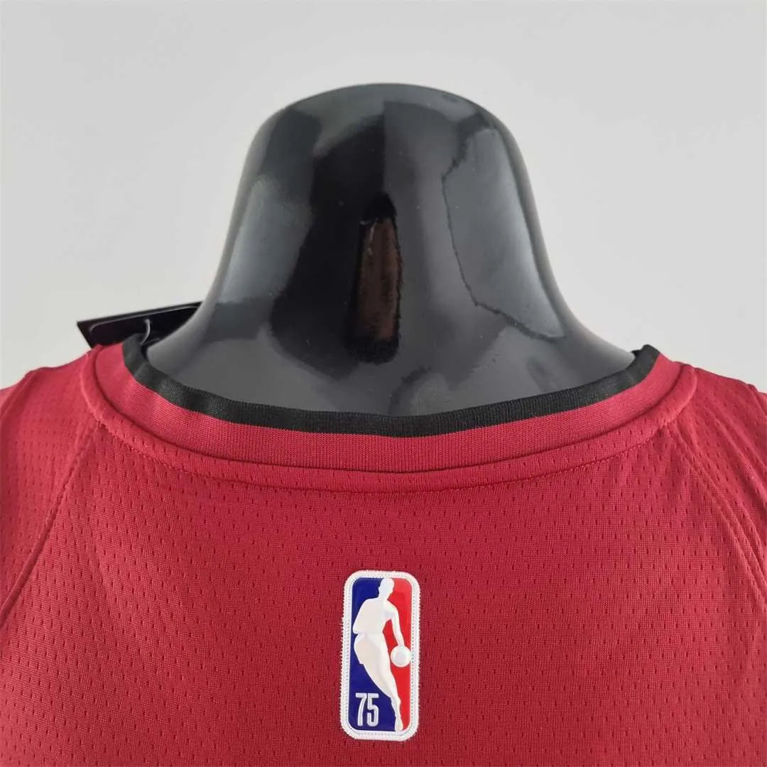 75th Anniversary Miami Heat Jordan HERRO#14 Burgundy NBA Jersey 5