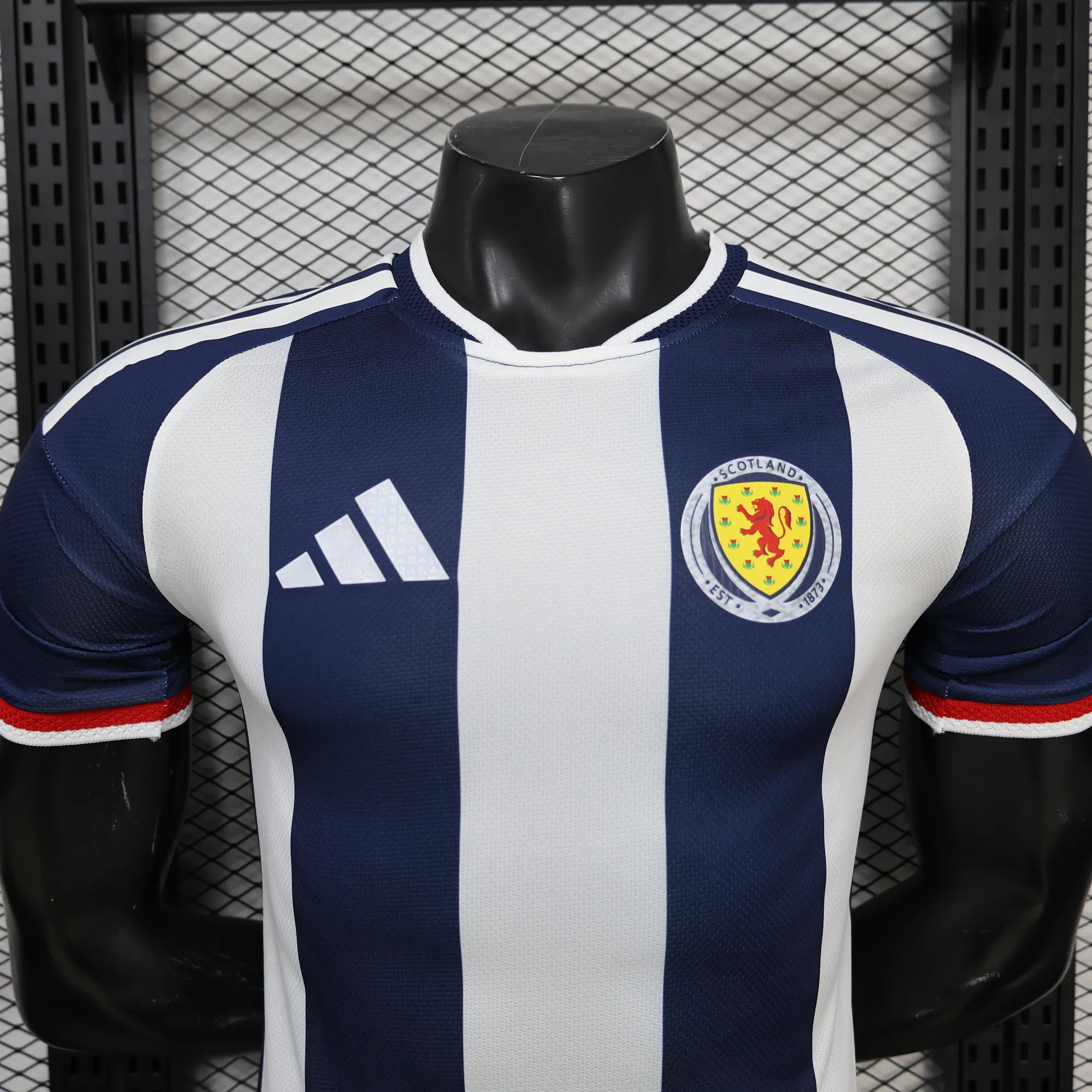 2026 World Cup Wales Special Edition Football Shirt Player Edition AAAA Jersey Drop ship Yupoo 6