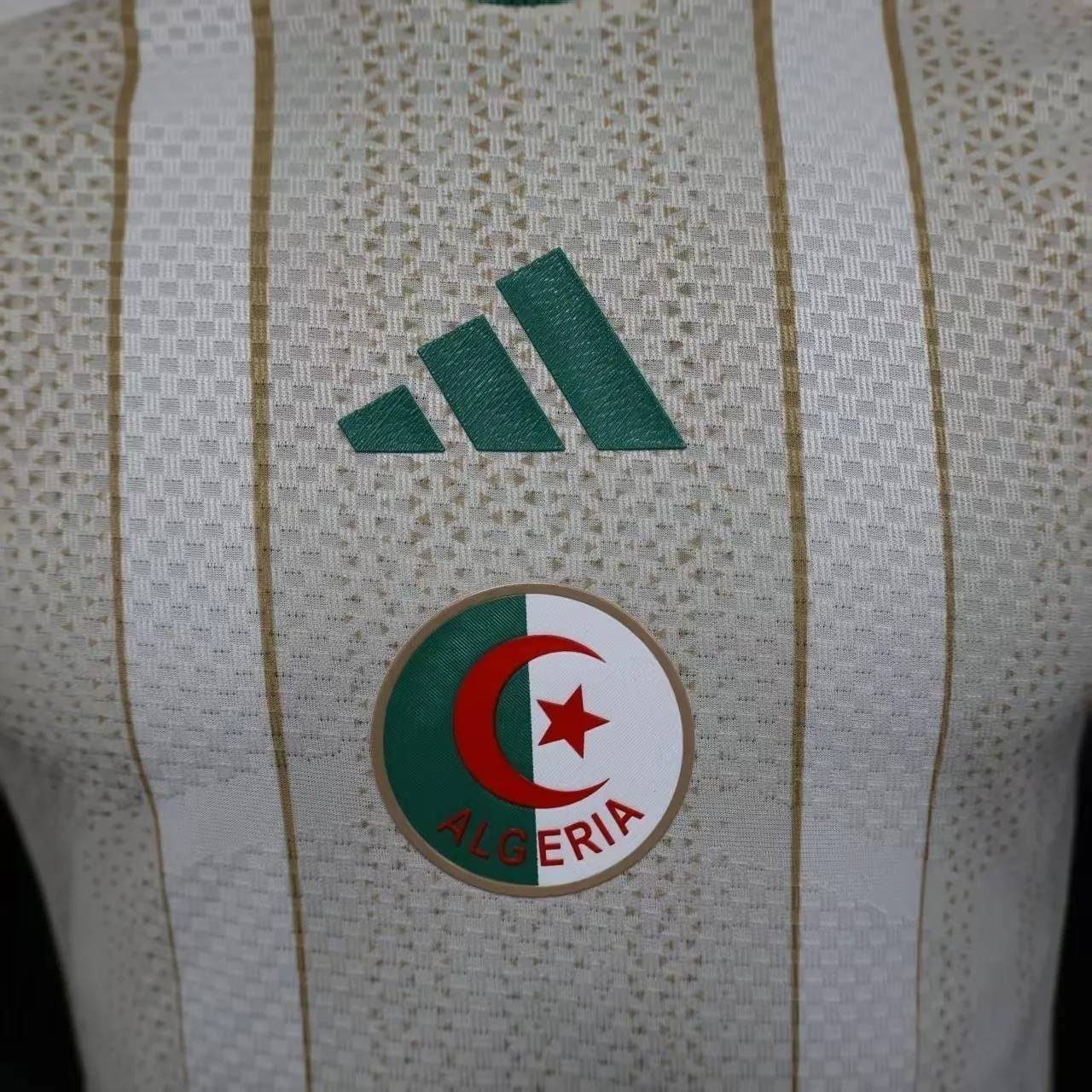 2026 World Cup Algeria Home Kit Football player version T-Shirt AAAAJersey Supply Yupoo 2